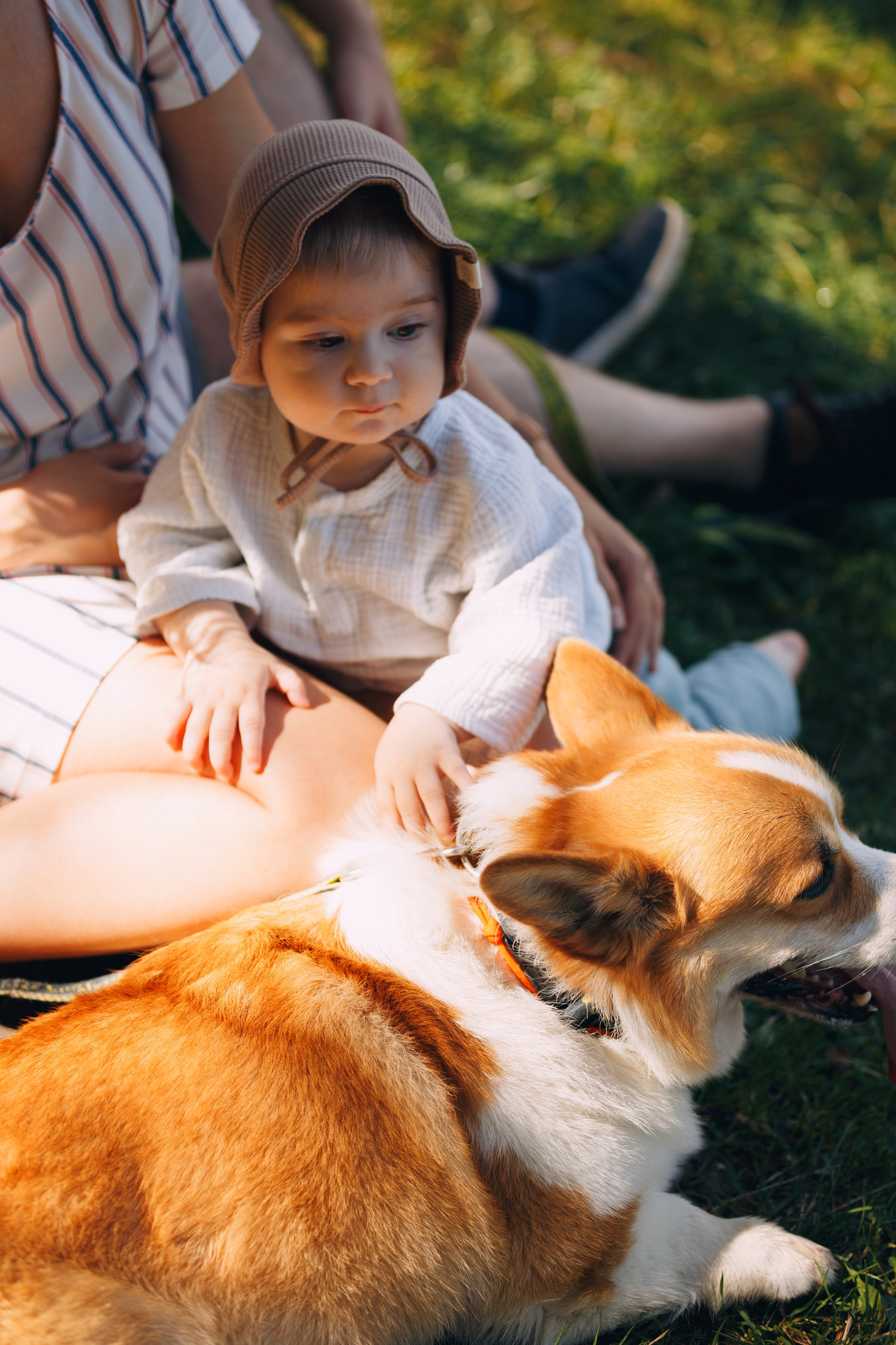 Мерф, Саша, Арсений и Андрей. Фотограф анималист Кристина Карпова, Москва