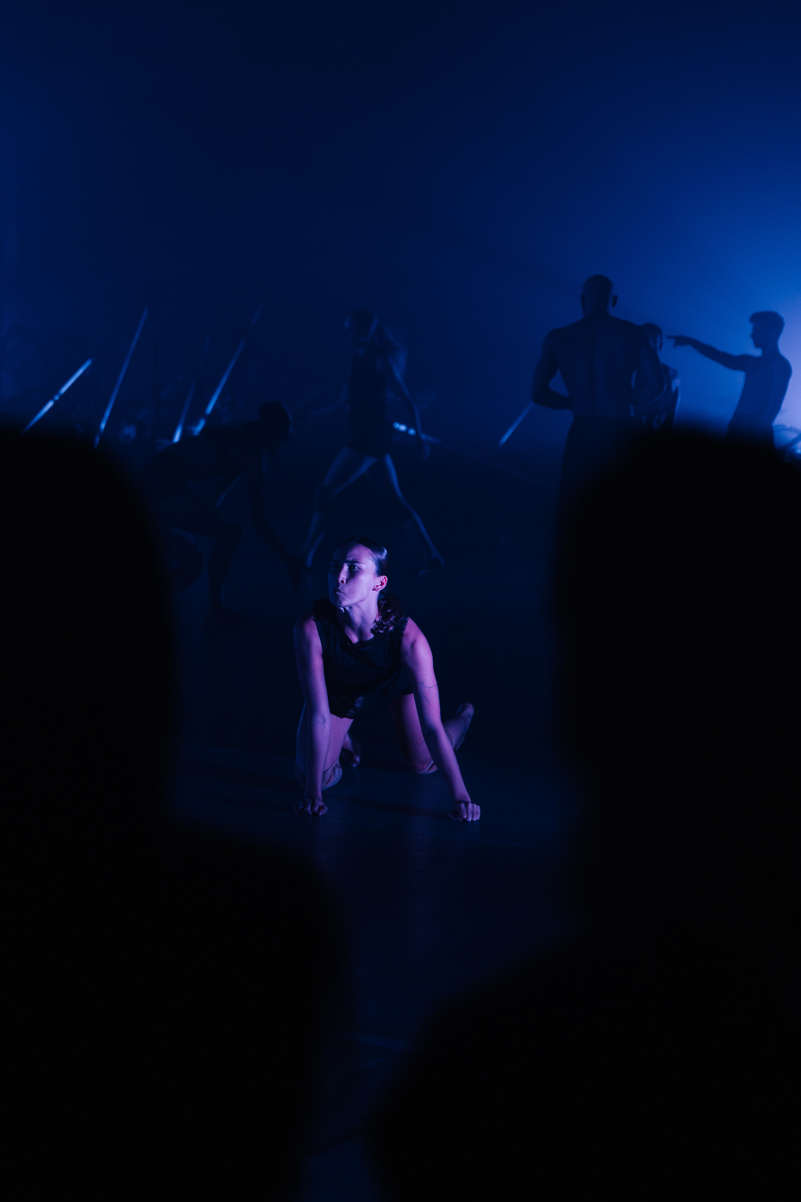 PERFORMA, The Hour of the Horse. @tomrus: Рустам Шагиморданов — фотограф