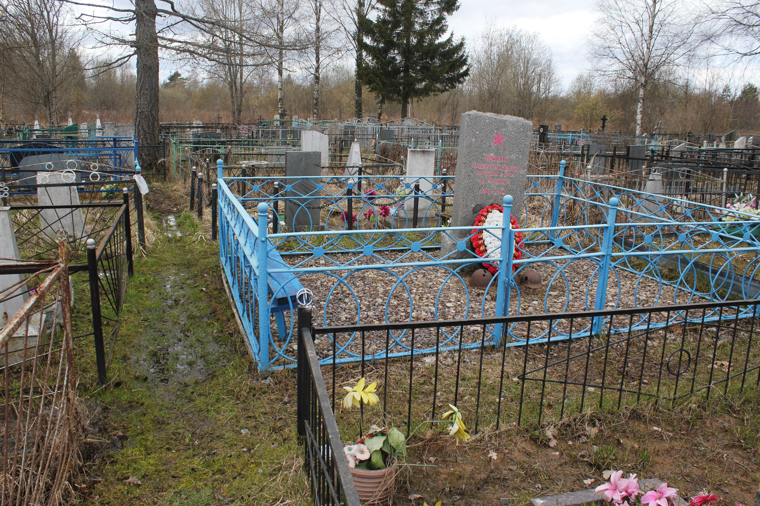 Общий вид захоронения. История Назиевского городского поселения