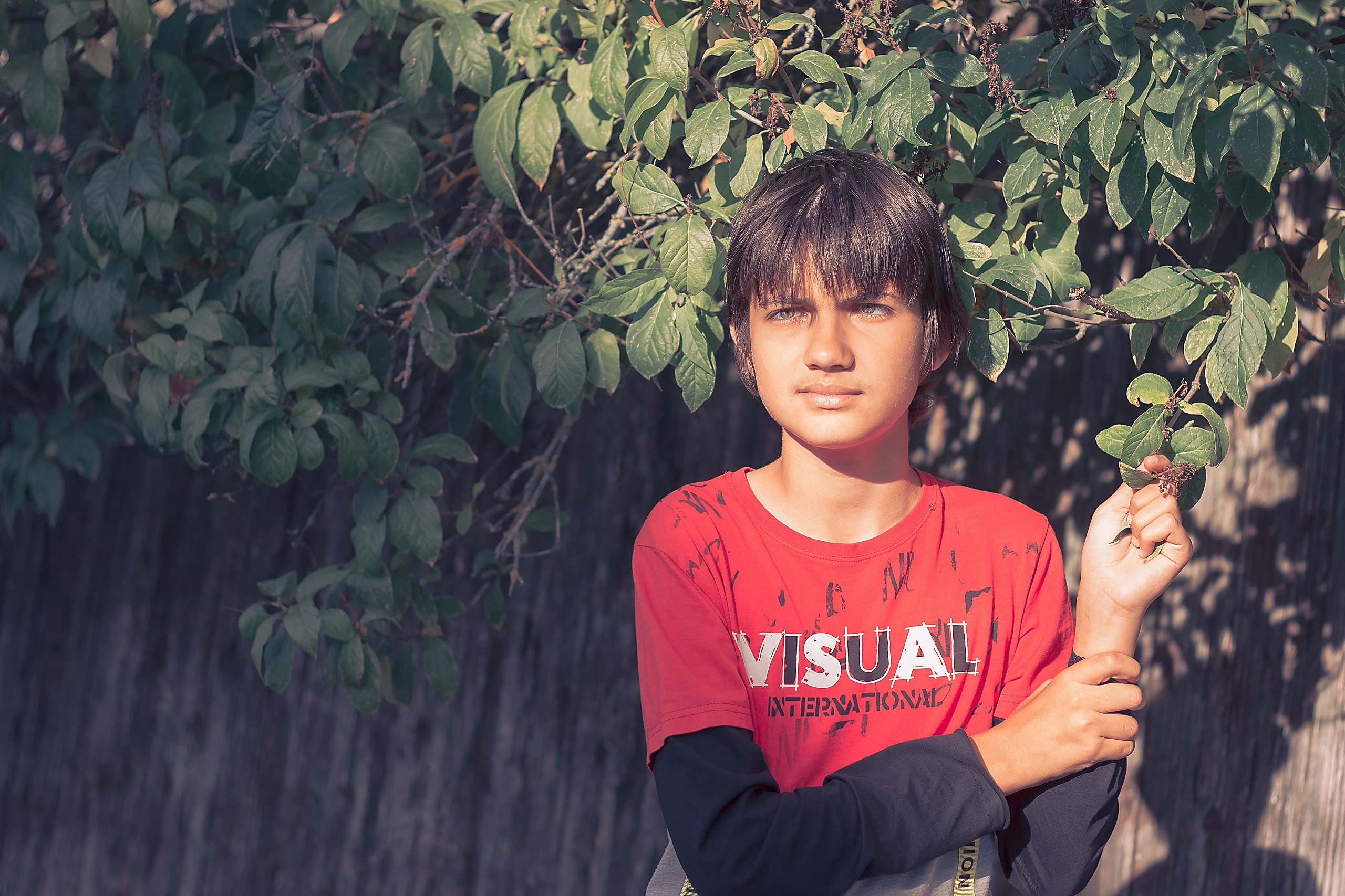 Аmat Victoria Сuram