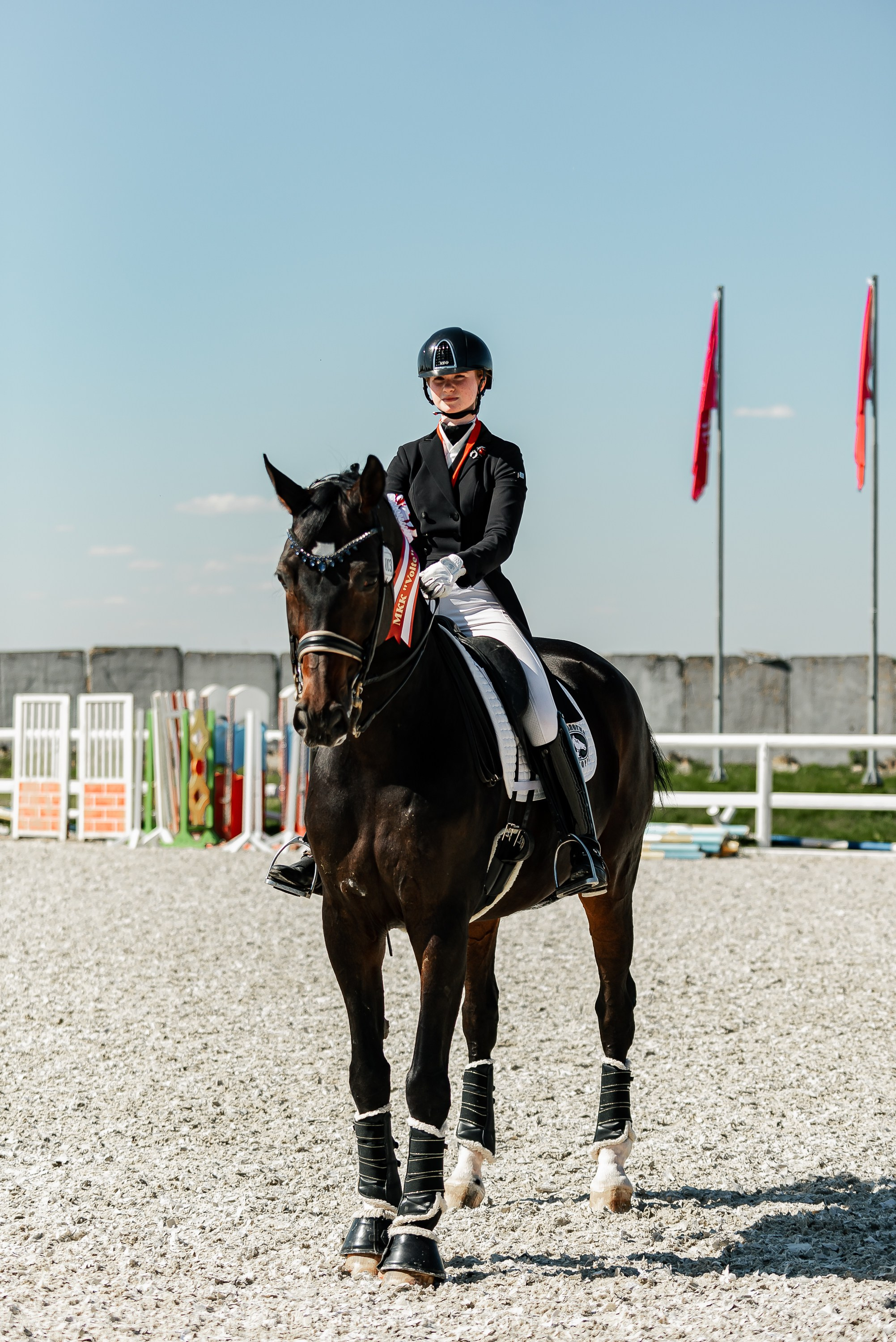 РЕПОРТАЖ МКК ВОЛЬТ «LA TULIPS». Конный фотограф Куракина Дарья • Фотосессии с лошадьми