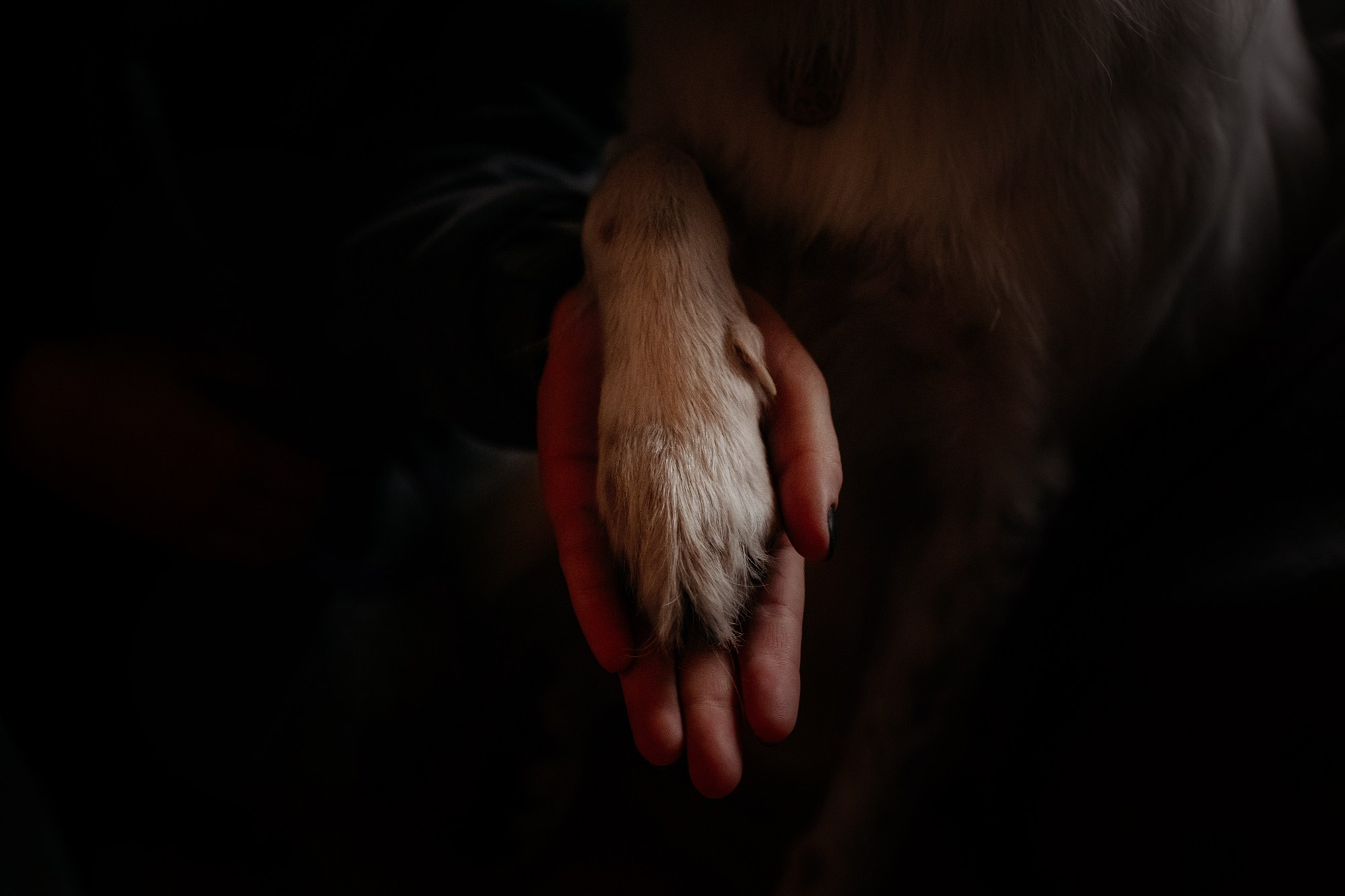 Соня и Юки. Фотограф Наталья Потапова