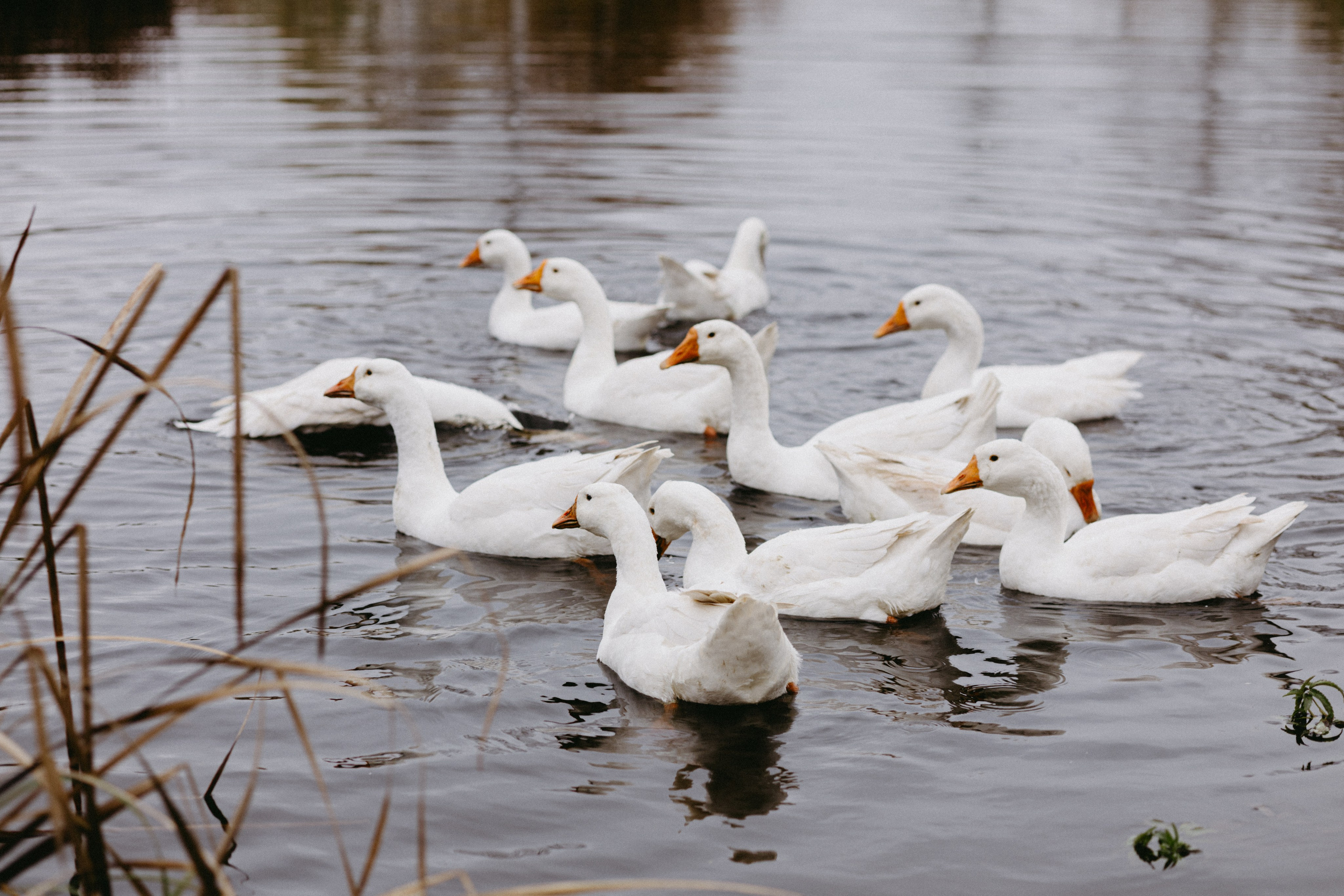 Новые земли. Про любовь