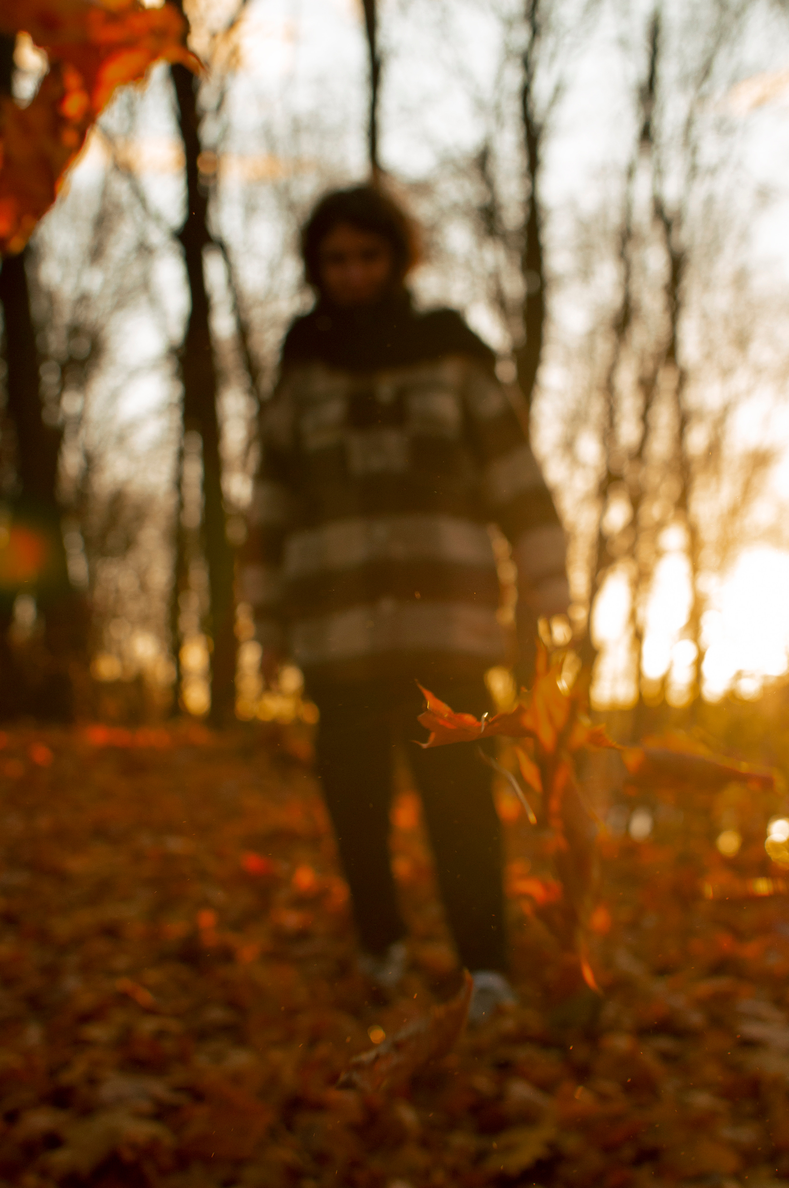 Диана. Портретный фотограф в Москве