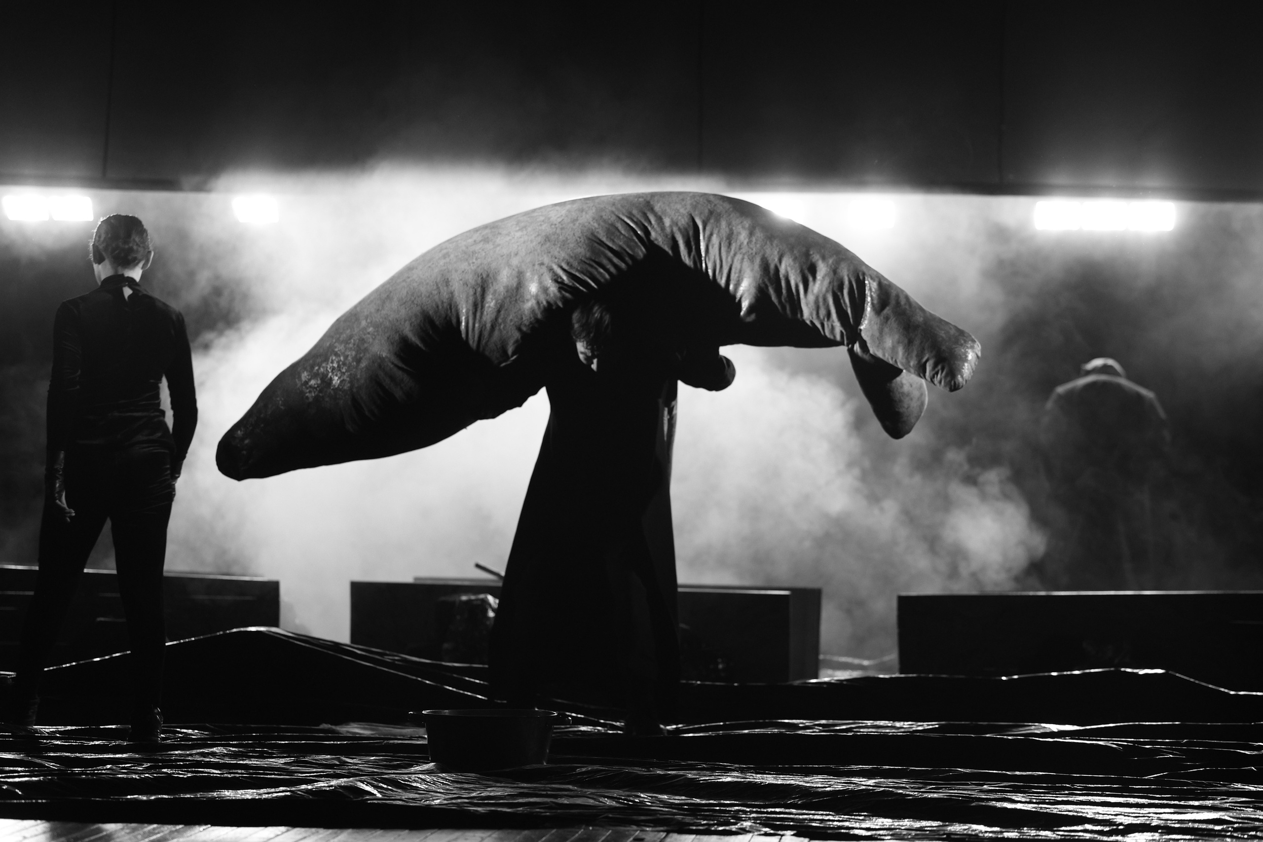 «Пегий пес, бегущий краем моря». Режиссёр Даниил Филиппович