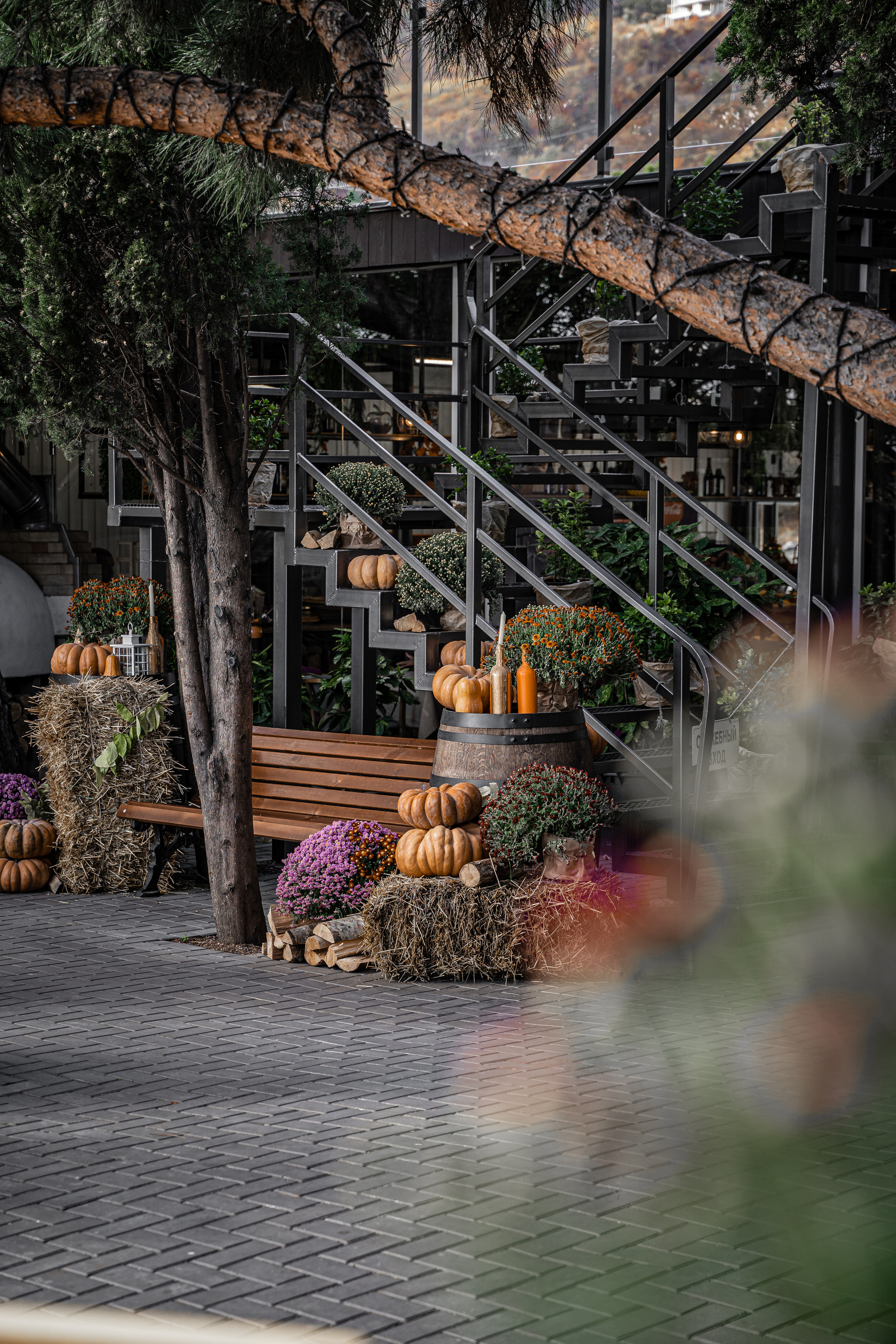 Контент для кафе. Анастасия Дунаева. Фотограф в Севастополе