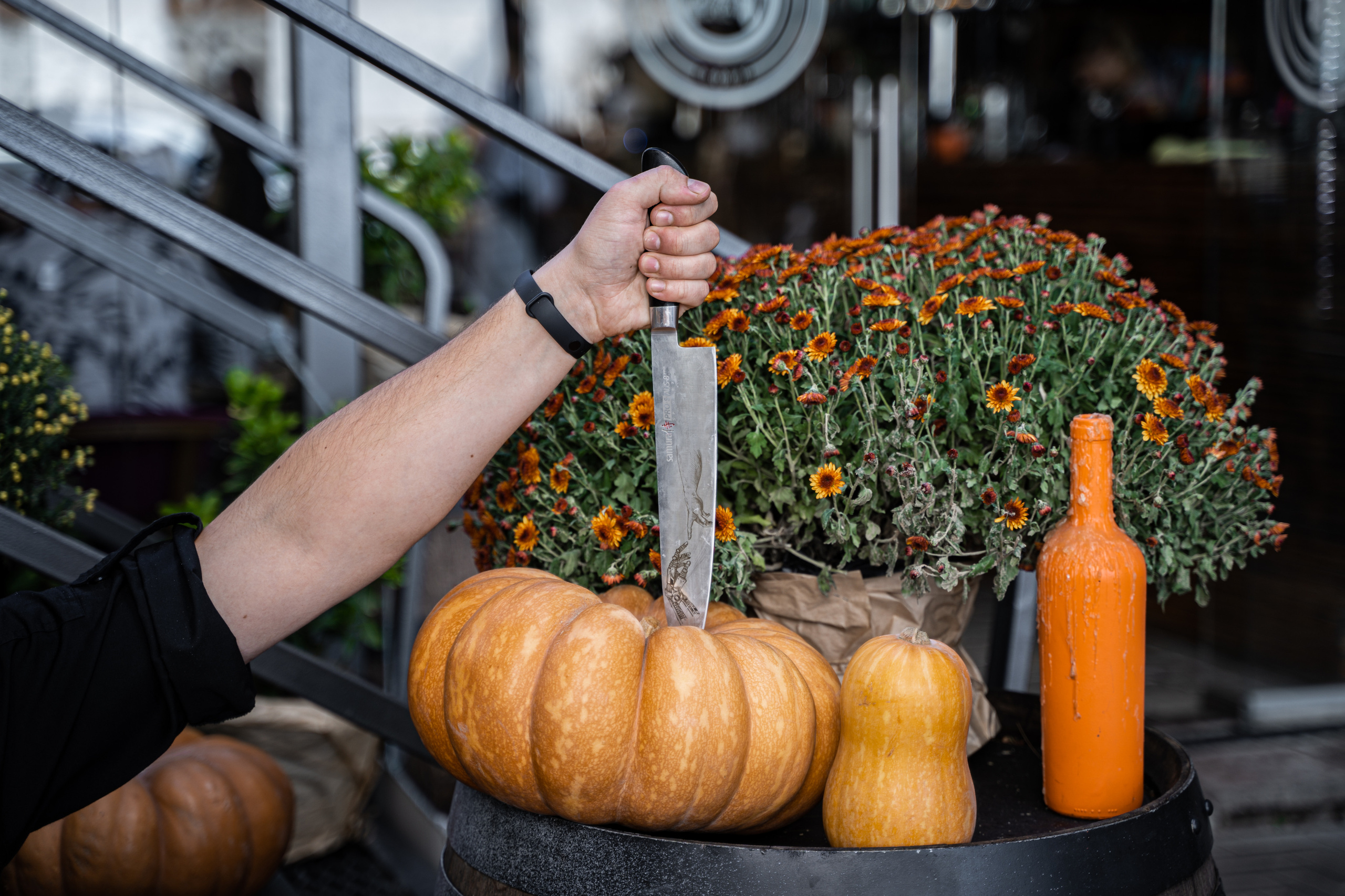 Контент для кафе. Анастасия Дунаева. Фотограф в Севастополе