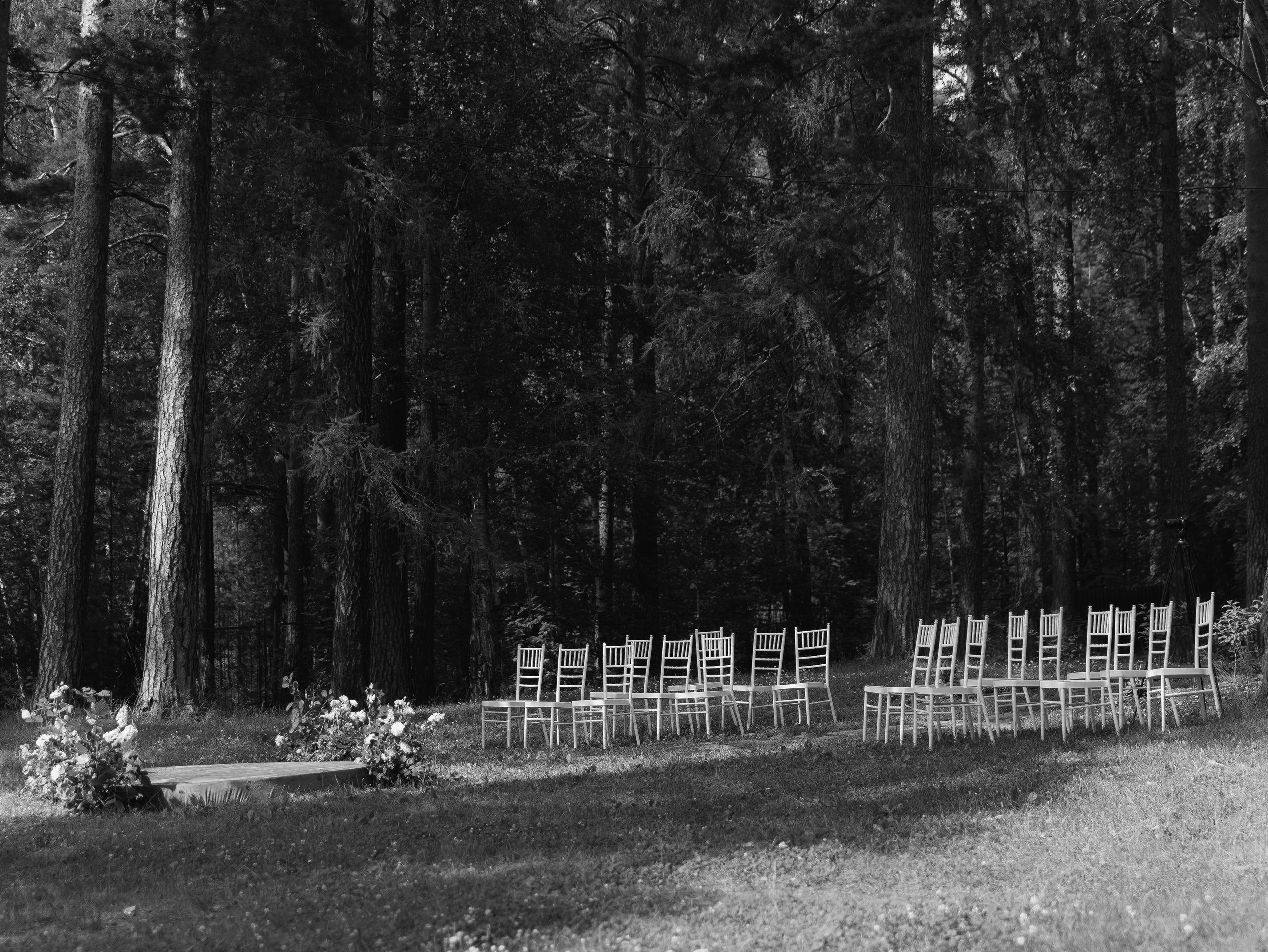 Владислав и Мария свадьба Екатеринбург Лесная сказка. СВАДЕБНЫЙ ФОТОГРАФ ЧЕЛЯБИНСК