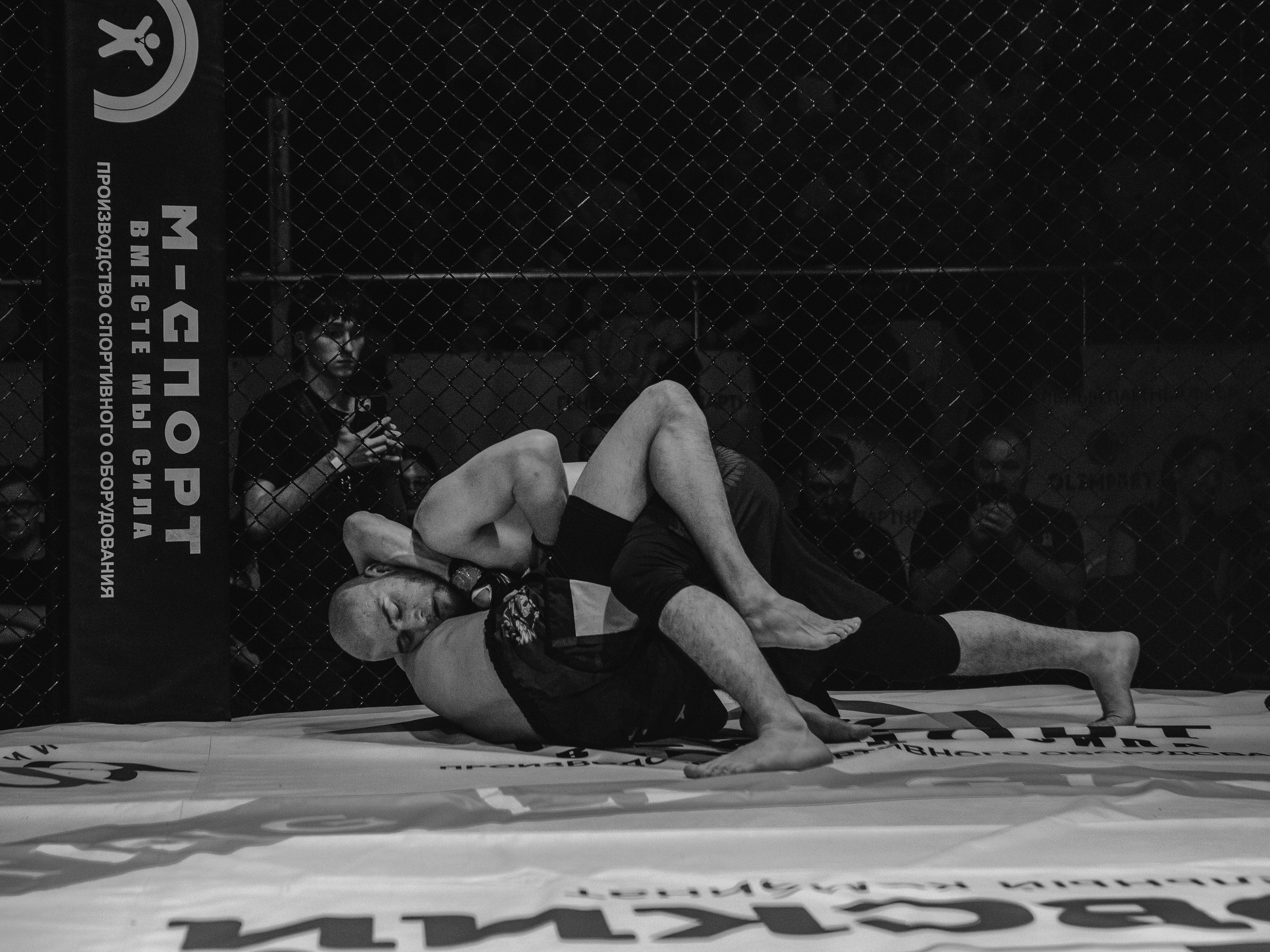 SFL 17 | Siberian Fighting League. Портретный фотограф в Москве Дарья Цезария