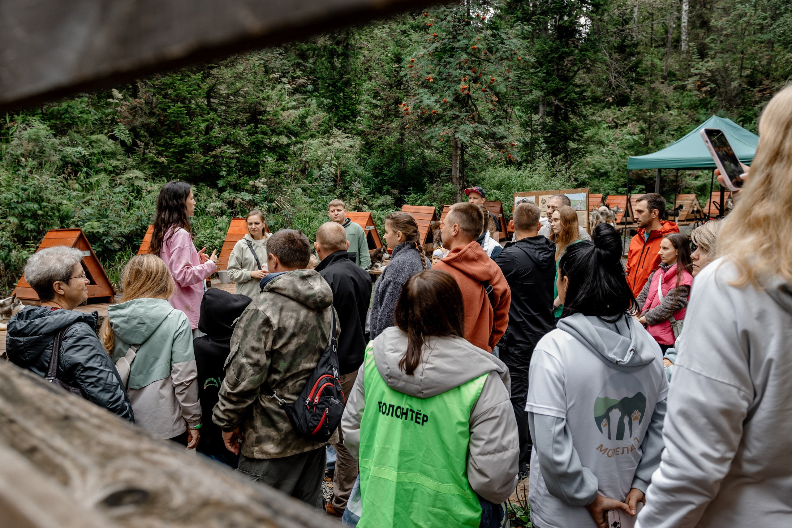 Дог-треккинг