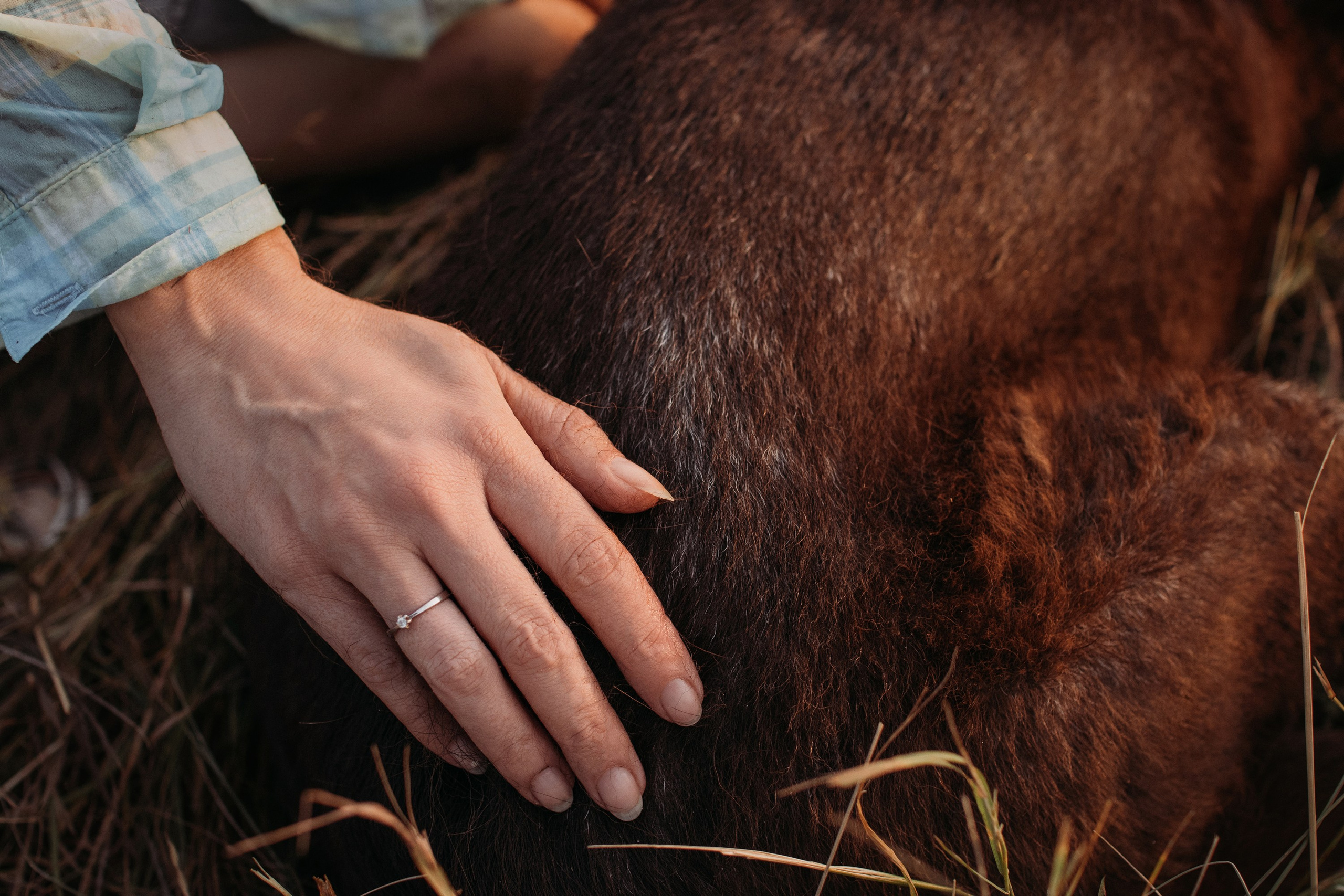 Юля и Свити. Фотограф Наталья Потапова