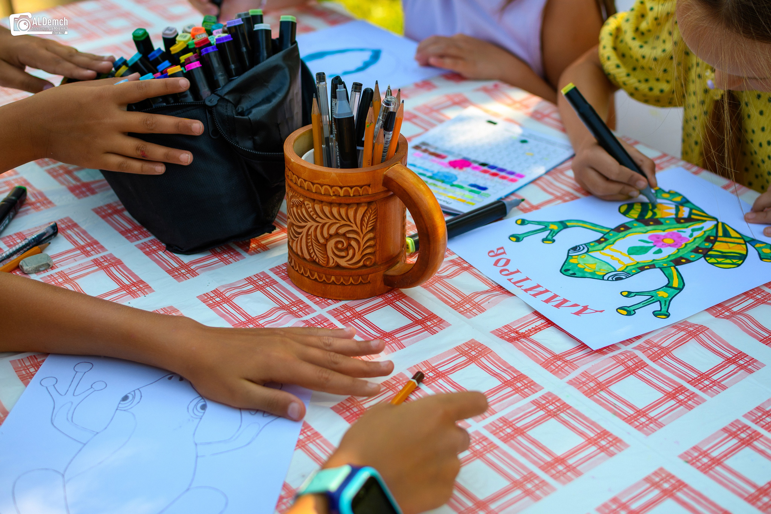 фото от фотографа День города Дмитрова