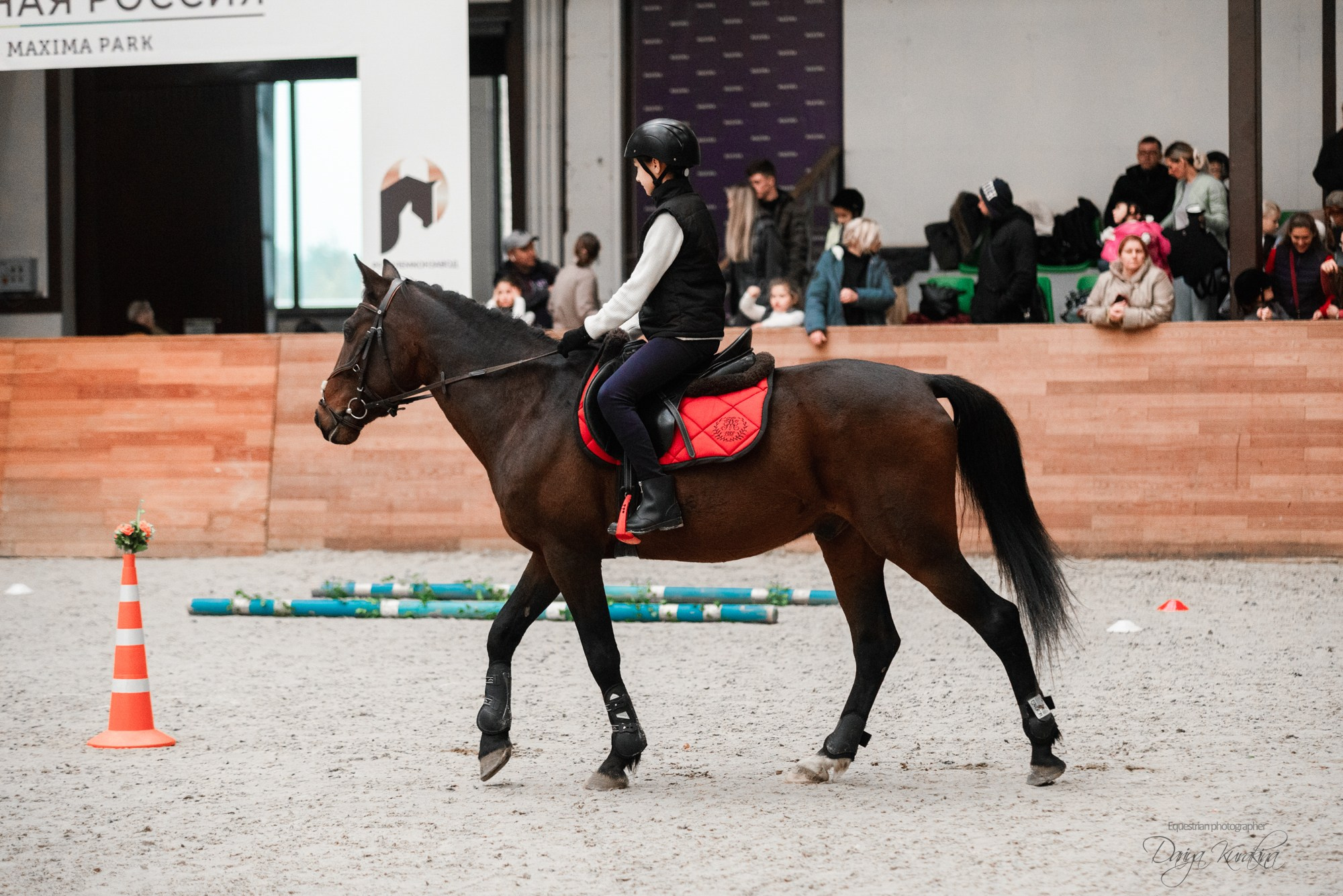 8-я международная выставка Конная Россия. Конный фотограф Куракина Дарья • Фотосессии с лошадьми