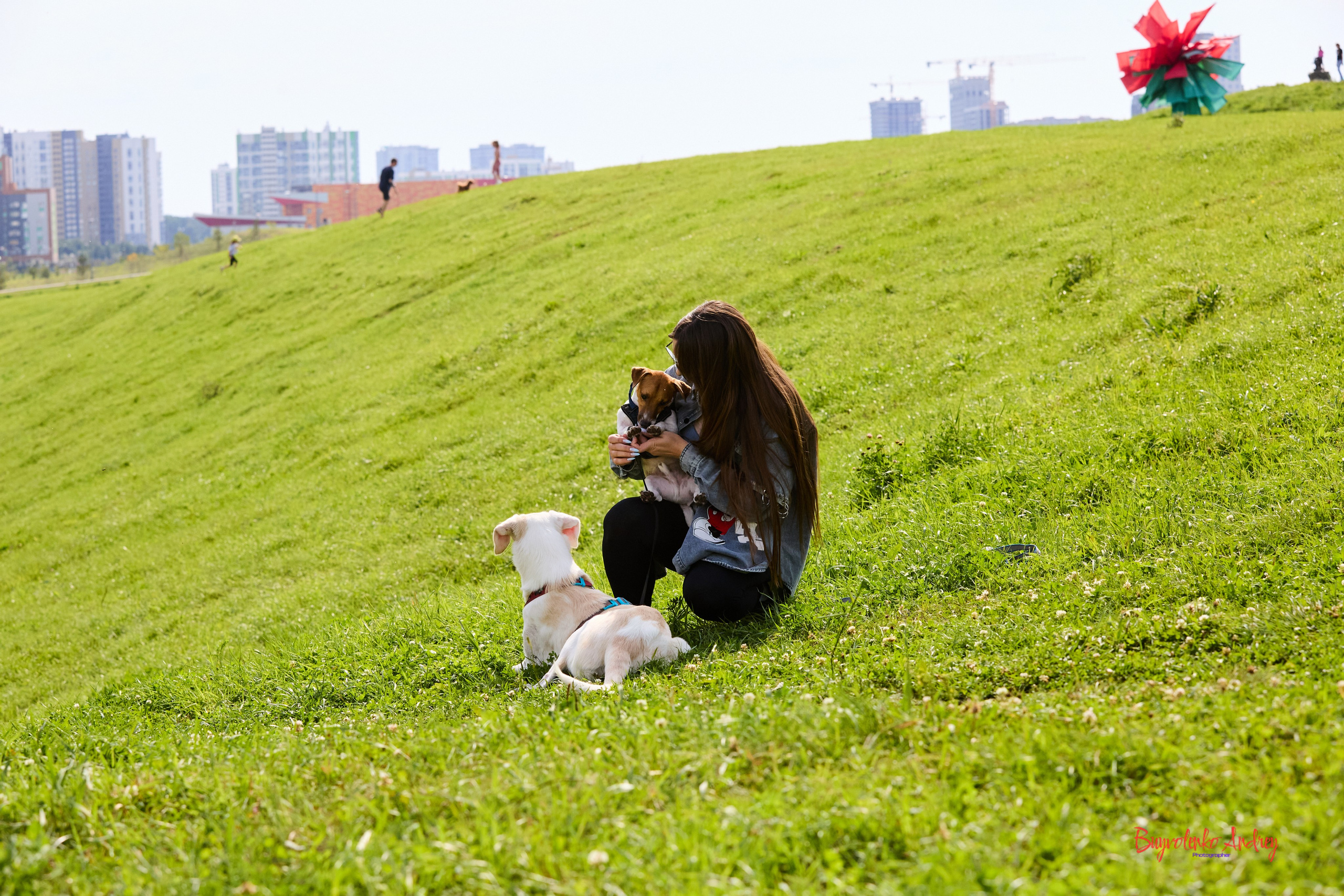 Проект фотопрогулка с хвостиком. Buyvolenko Andrey