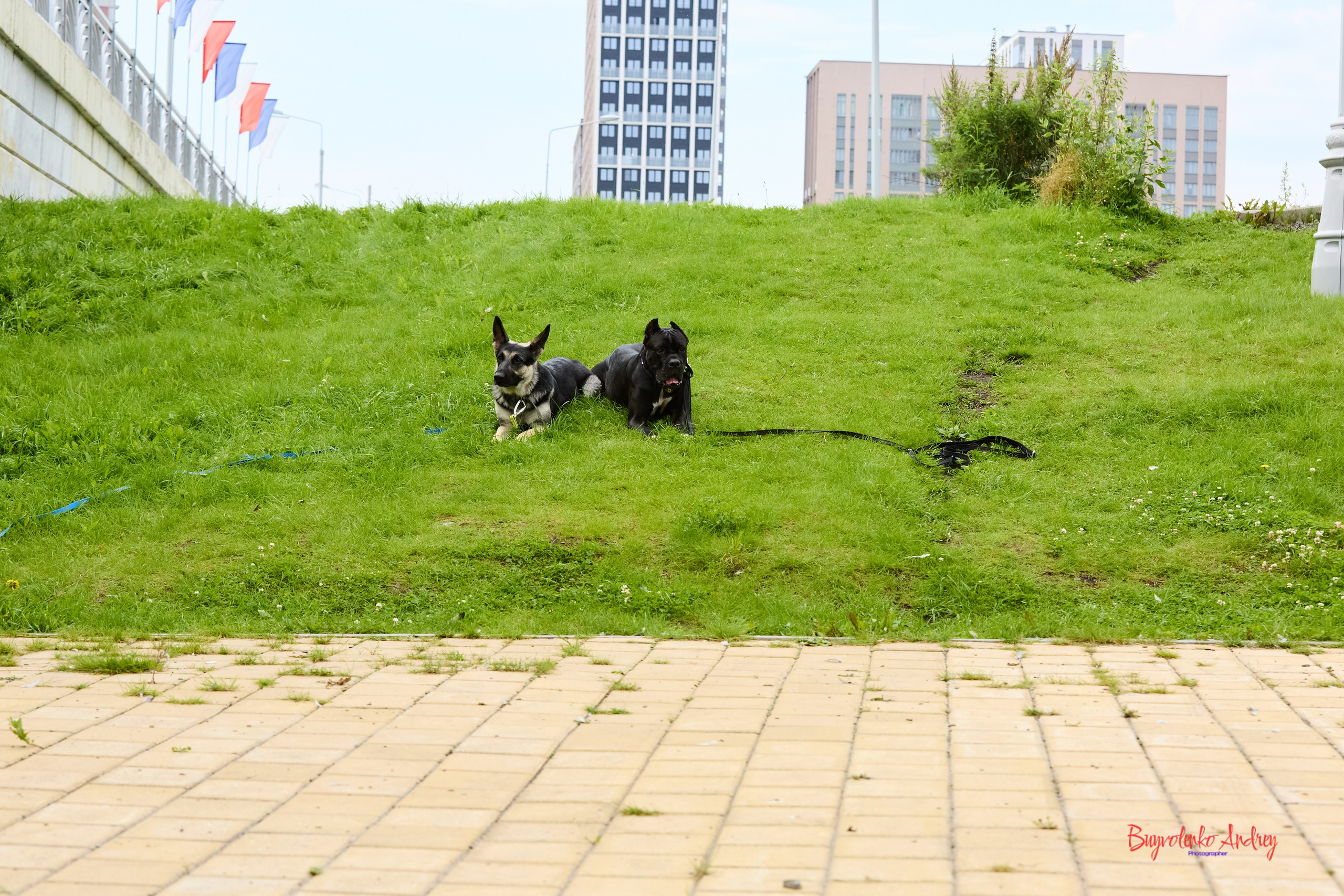 Проект фотопрогулка с хвостиком. Buyvolenko Andrey