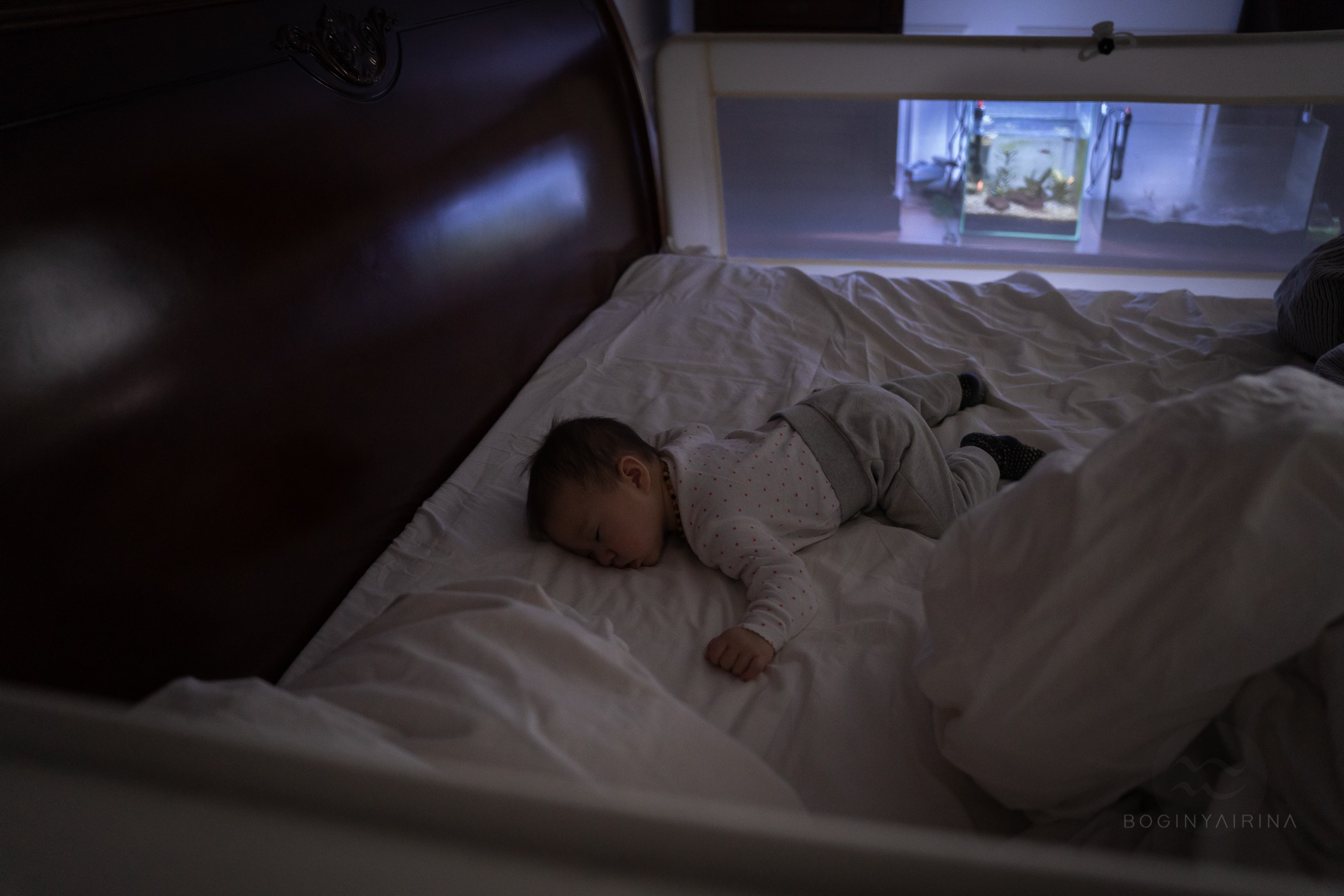 семейный фотограф в Москве