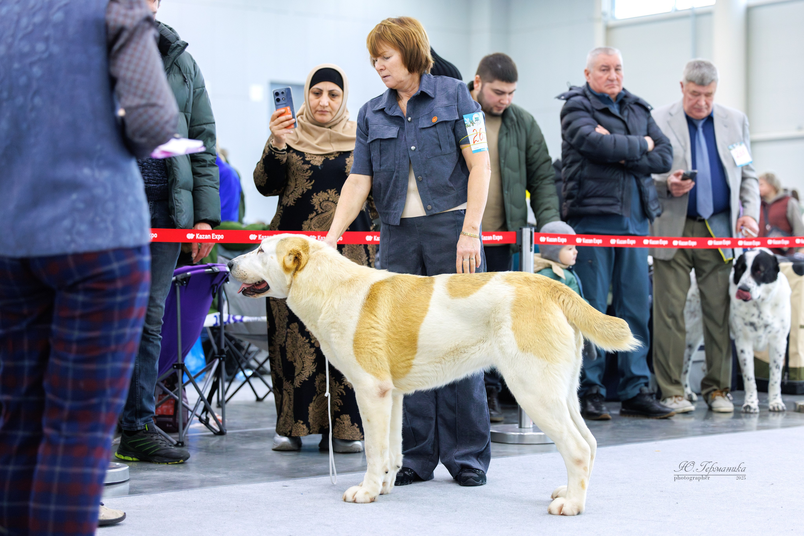 Сабанеевка Казань 25-26.01.2025. Фотограф-анималист Юлия Германика