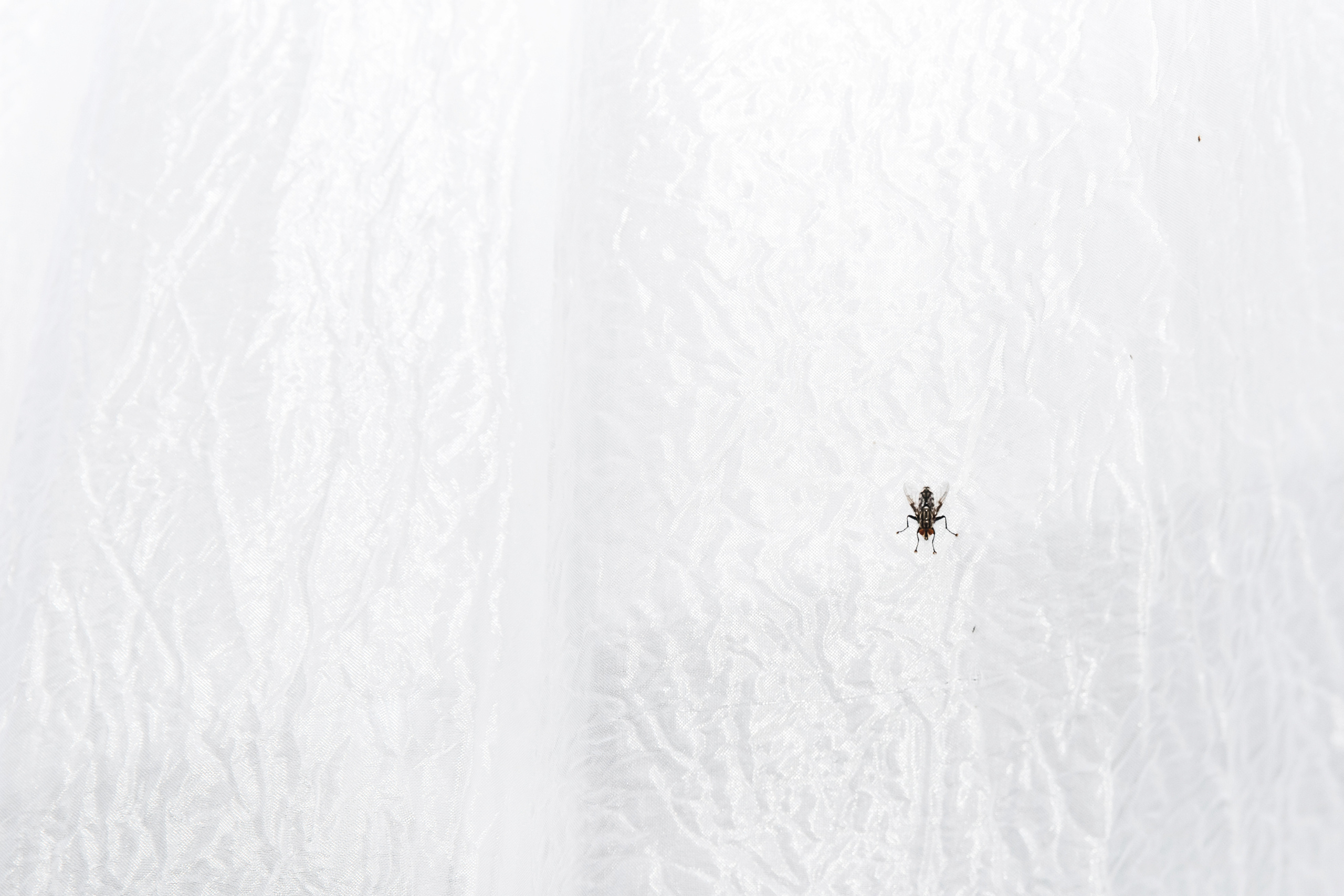 Алон и Мария. Свадебные фотосессии в Москве. Фотограф Сергей Ржевский
