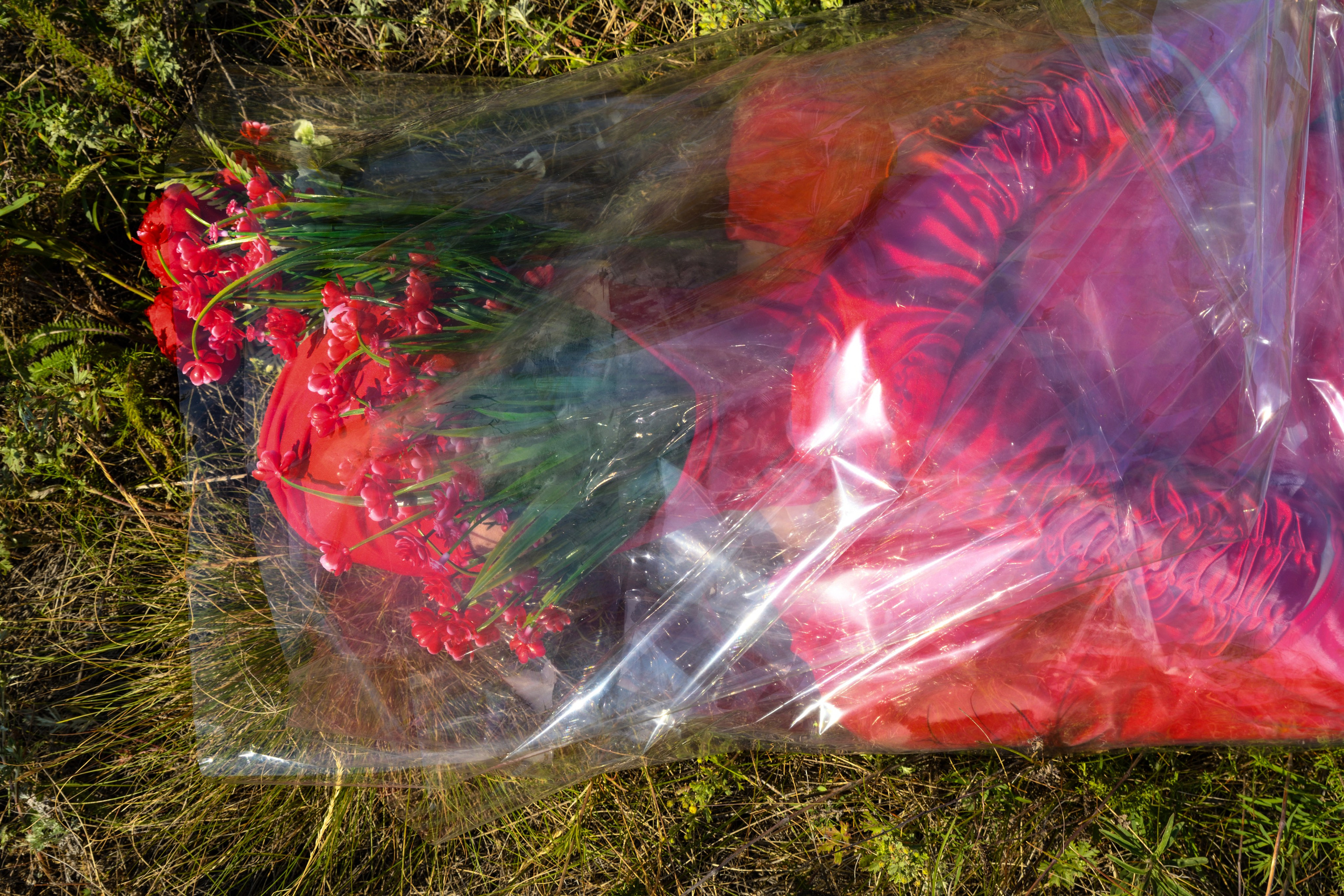 TERRA NOSTRA. Yulia Yurchevskaya | Art Director & Visual Visionary