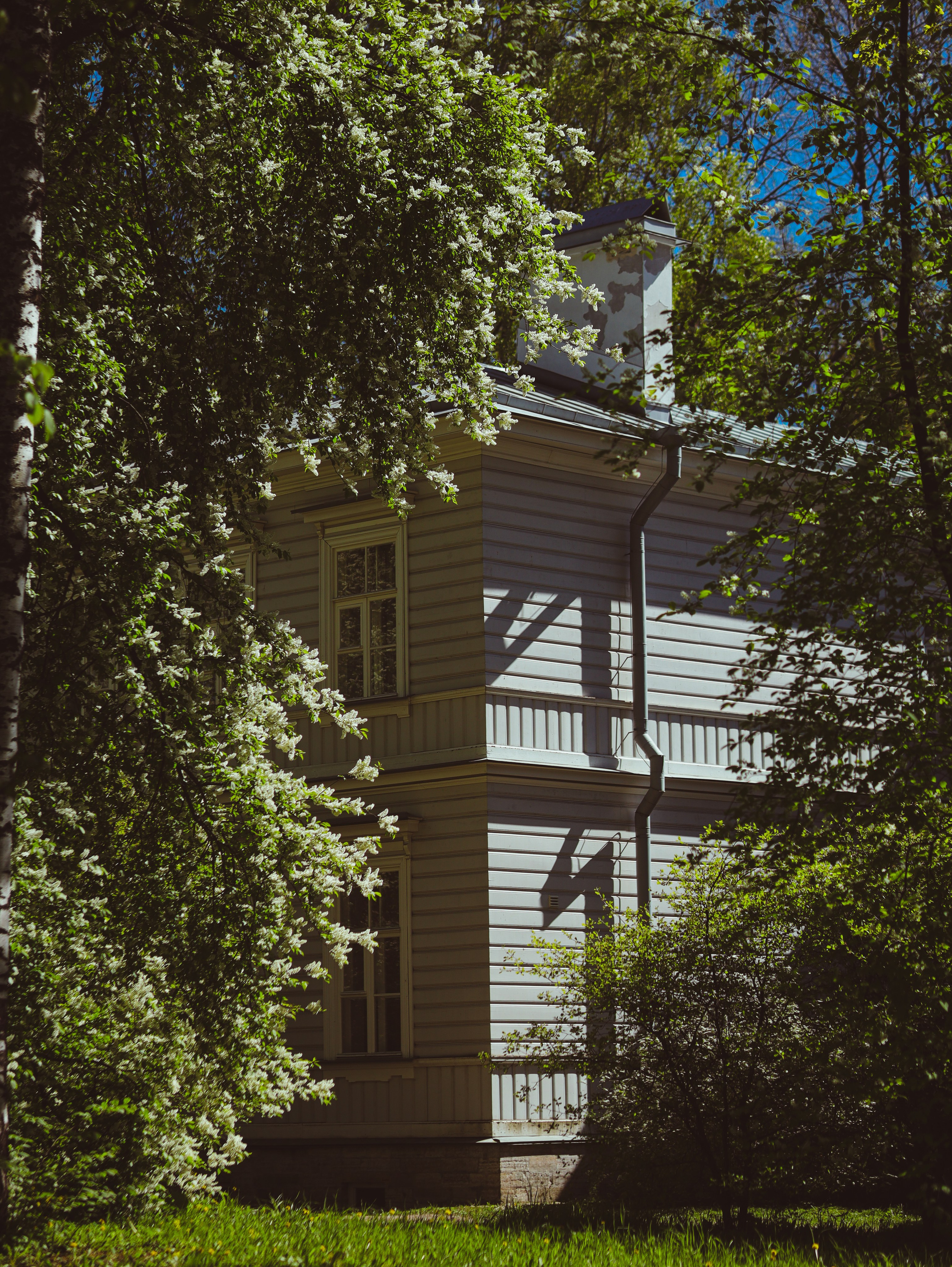 Природа &. Фотохудожник в СПб