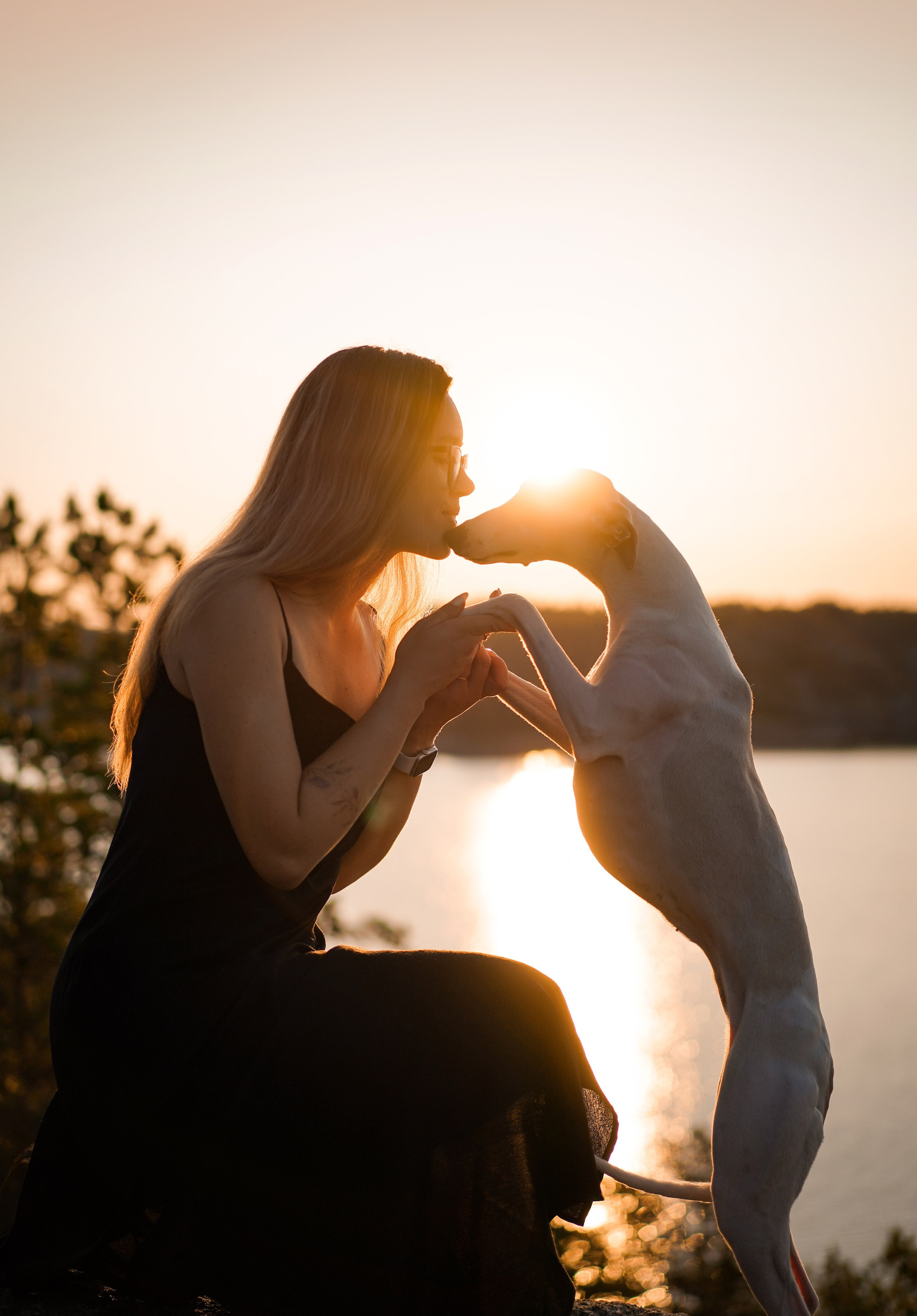 Даша Фифа Гага и Вениамина. Фотограф-анималист в Санкт-Петербурге Яна Мартынова