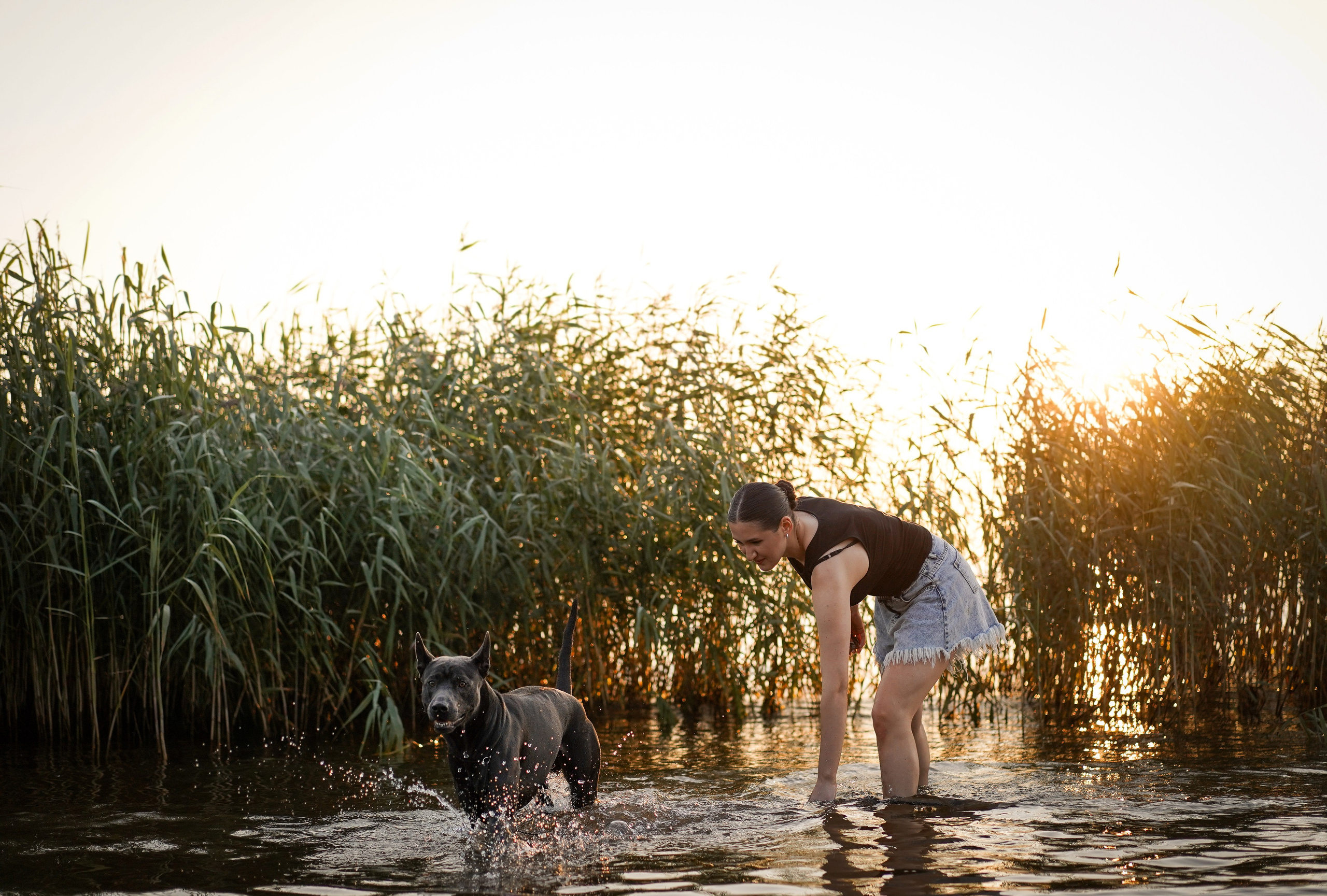 Вероника и Адам. Фотограф-анималист в Санкт-Петербурге Яна Мартынова