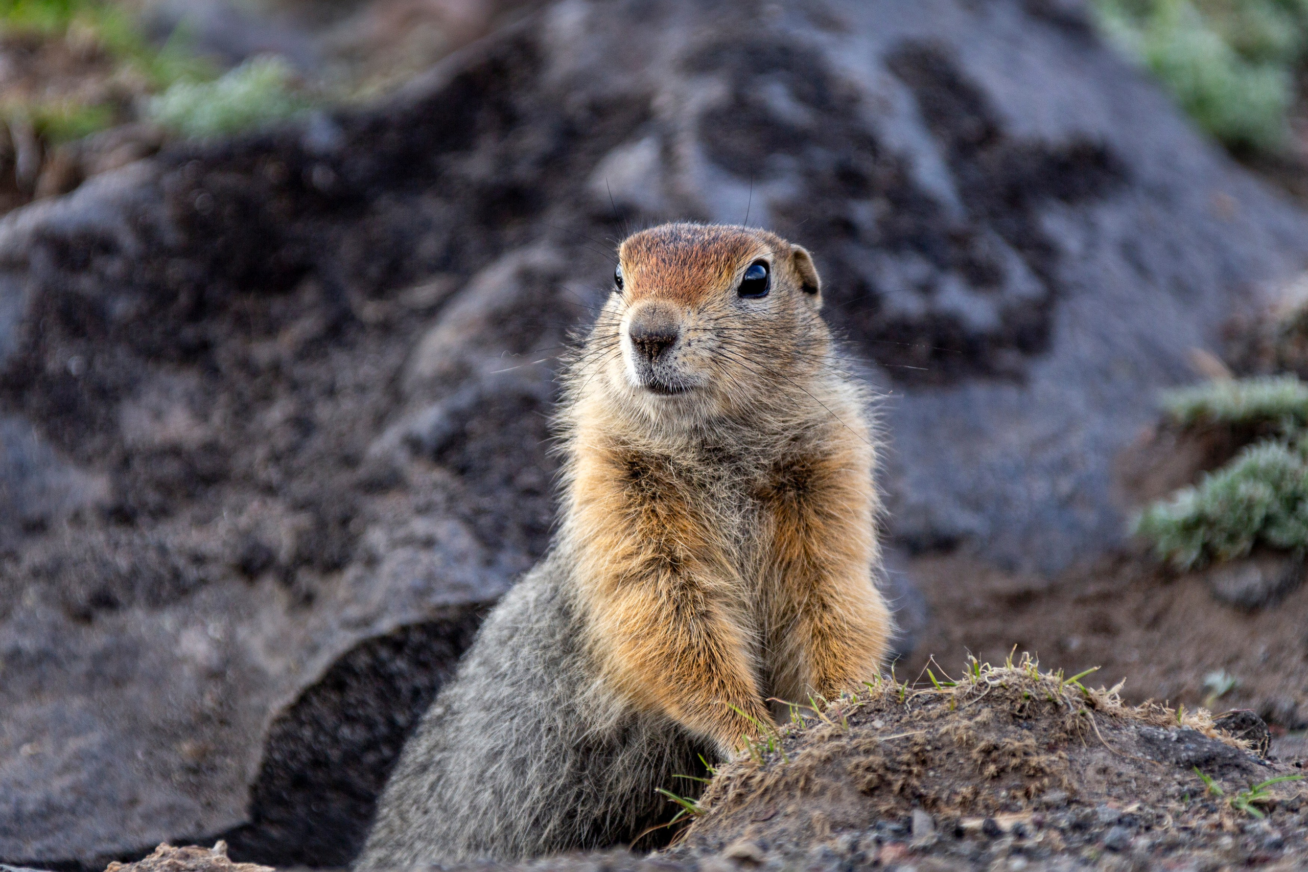 Камчатка + Сахалин — экспедиция в два региона за одну поездку. Время Камчатки: чтобы найти свой путь, нужно скорость умножить на время