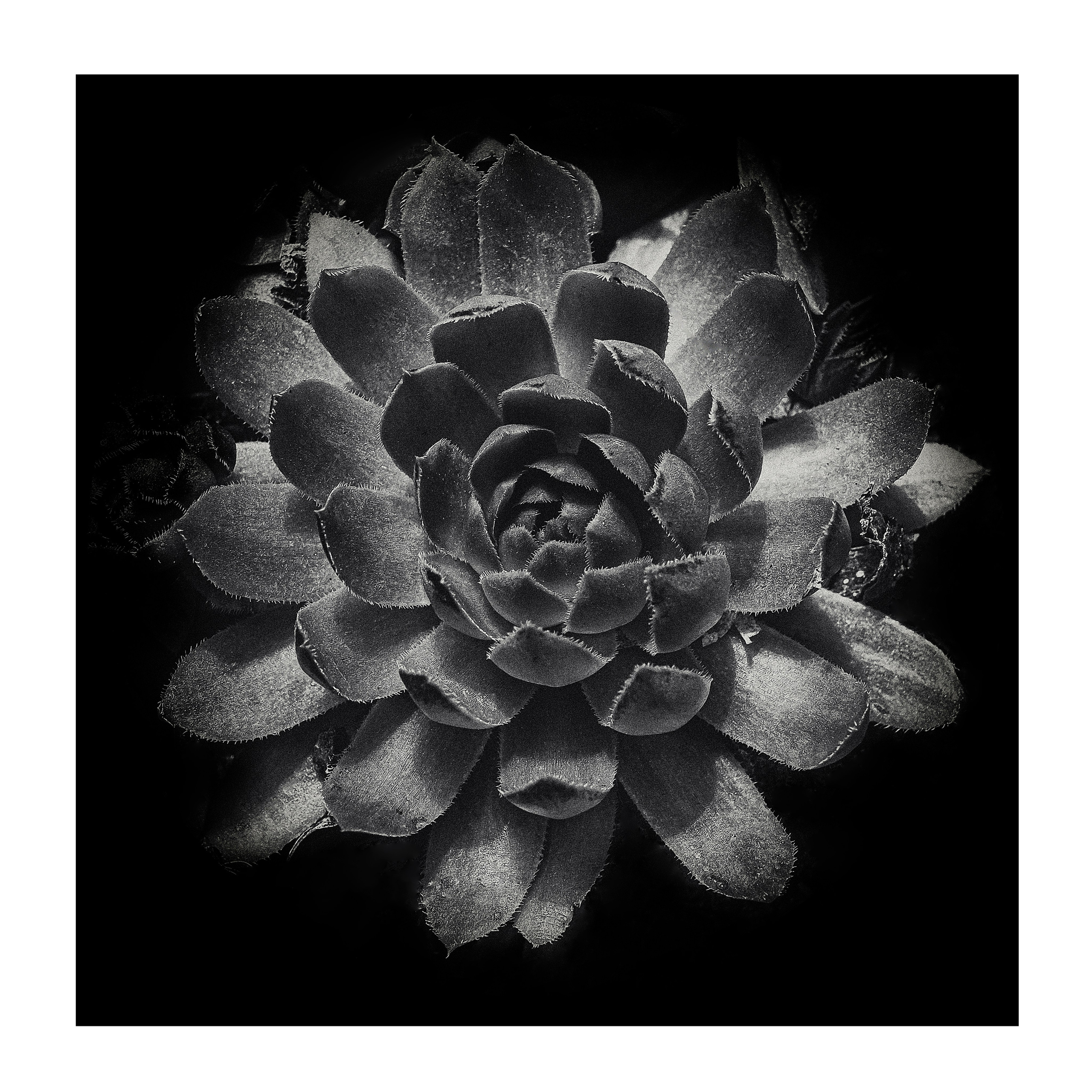 Фотопроект «Круги жизни». Портретный фотограф в Челябинске Катерина Руди