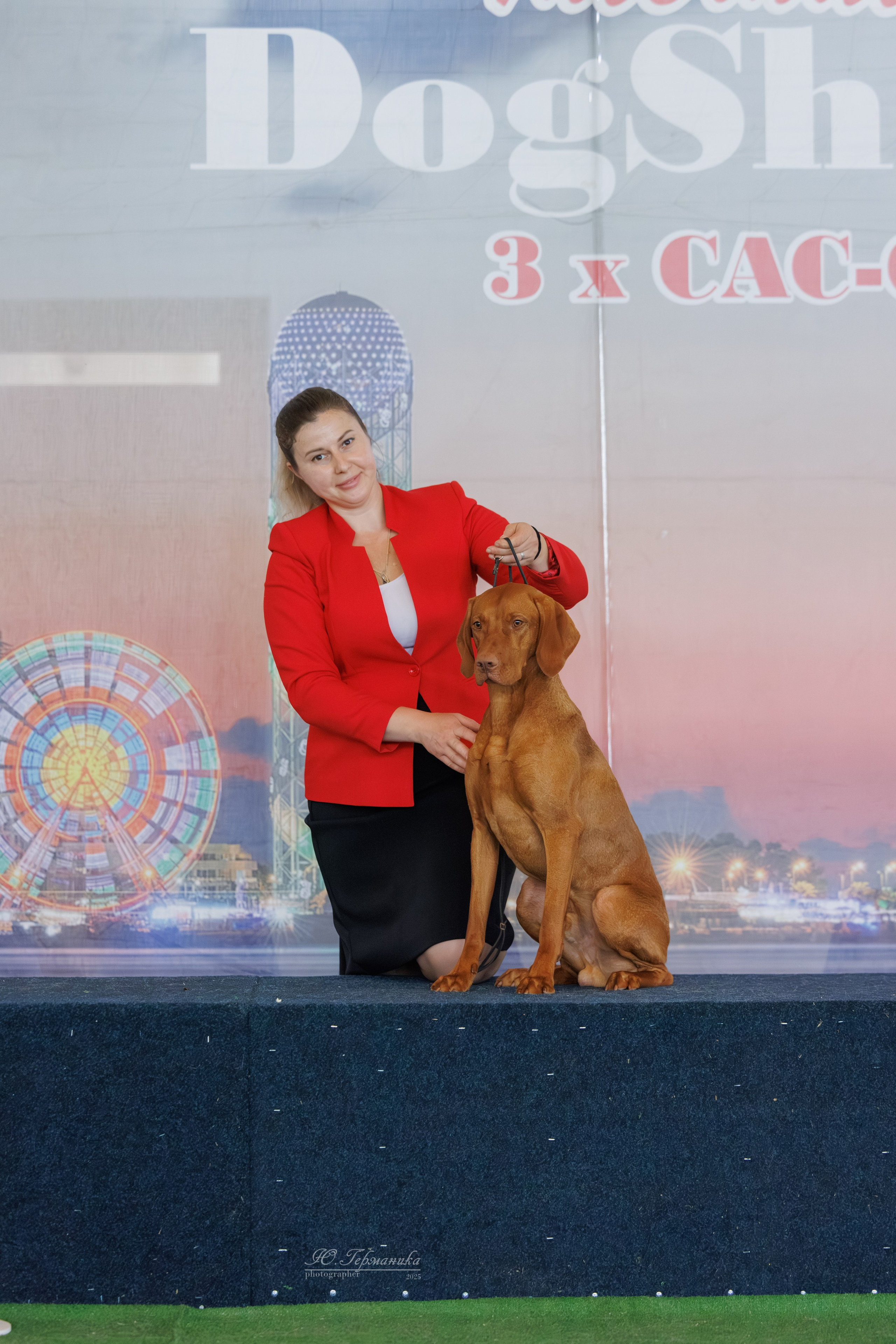 Батуми 3хCACIB 27-29.06.2025. Фотограф-анималист Юлия Германика