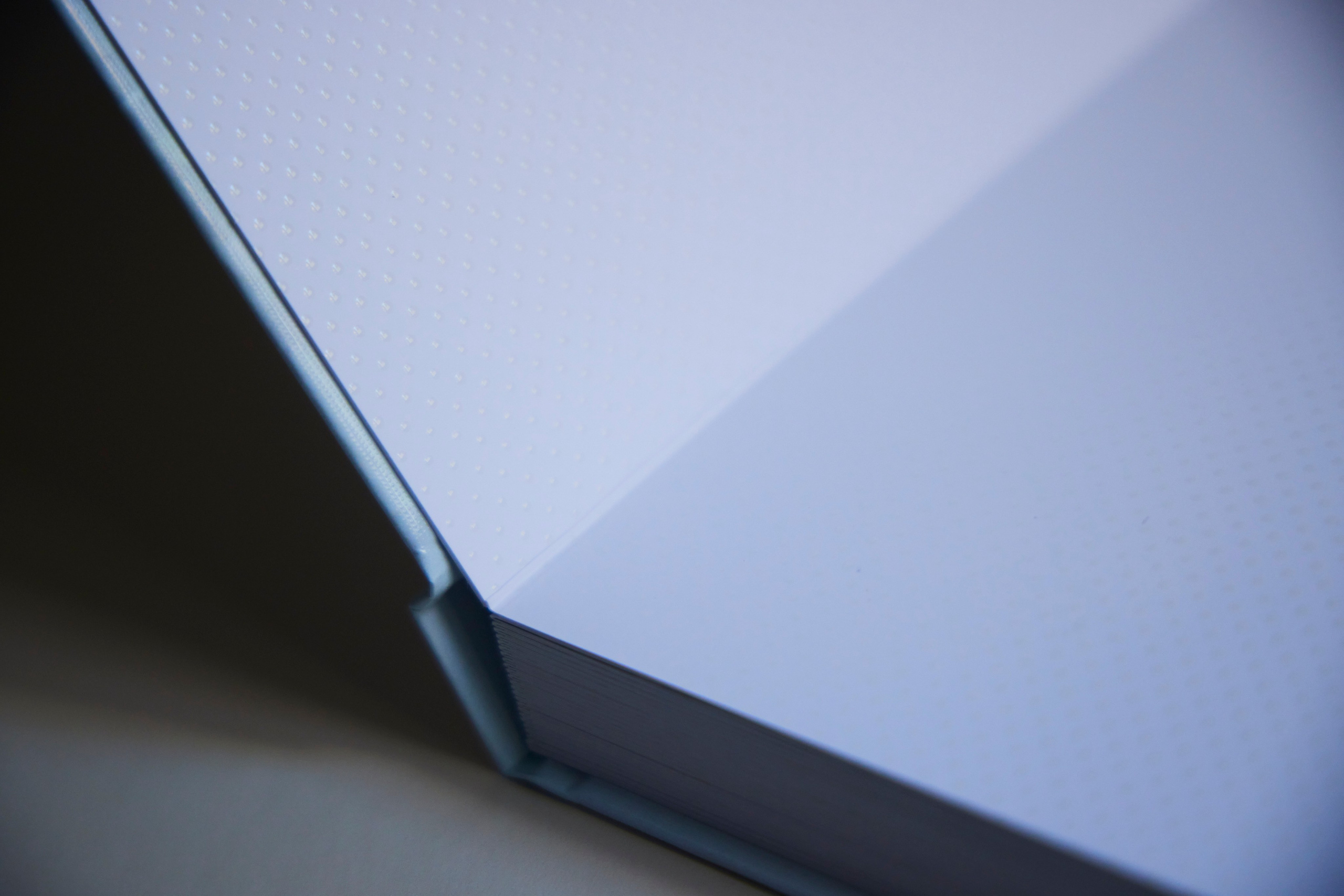 День рождения прекрасной женщины. Фотограф Владимир Джалавян. Фотохудожник Наталия Кирсанова