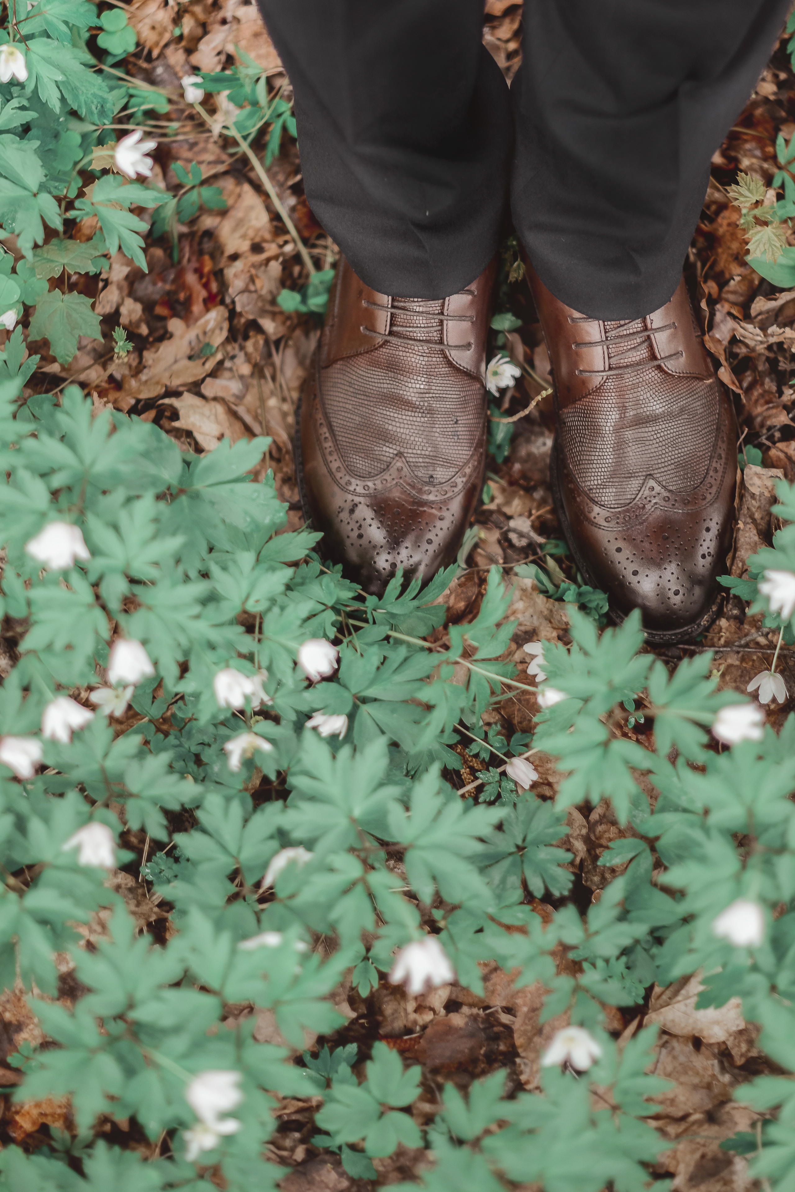 Евгений и Виктория. Свадебный фотограф Анастасия Сюзанова