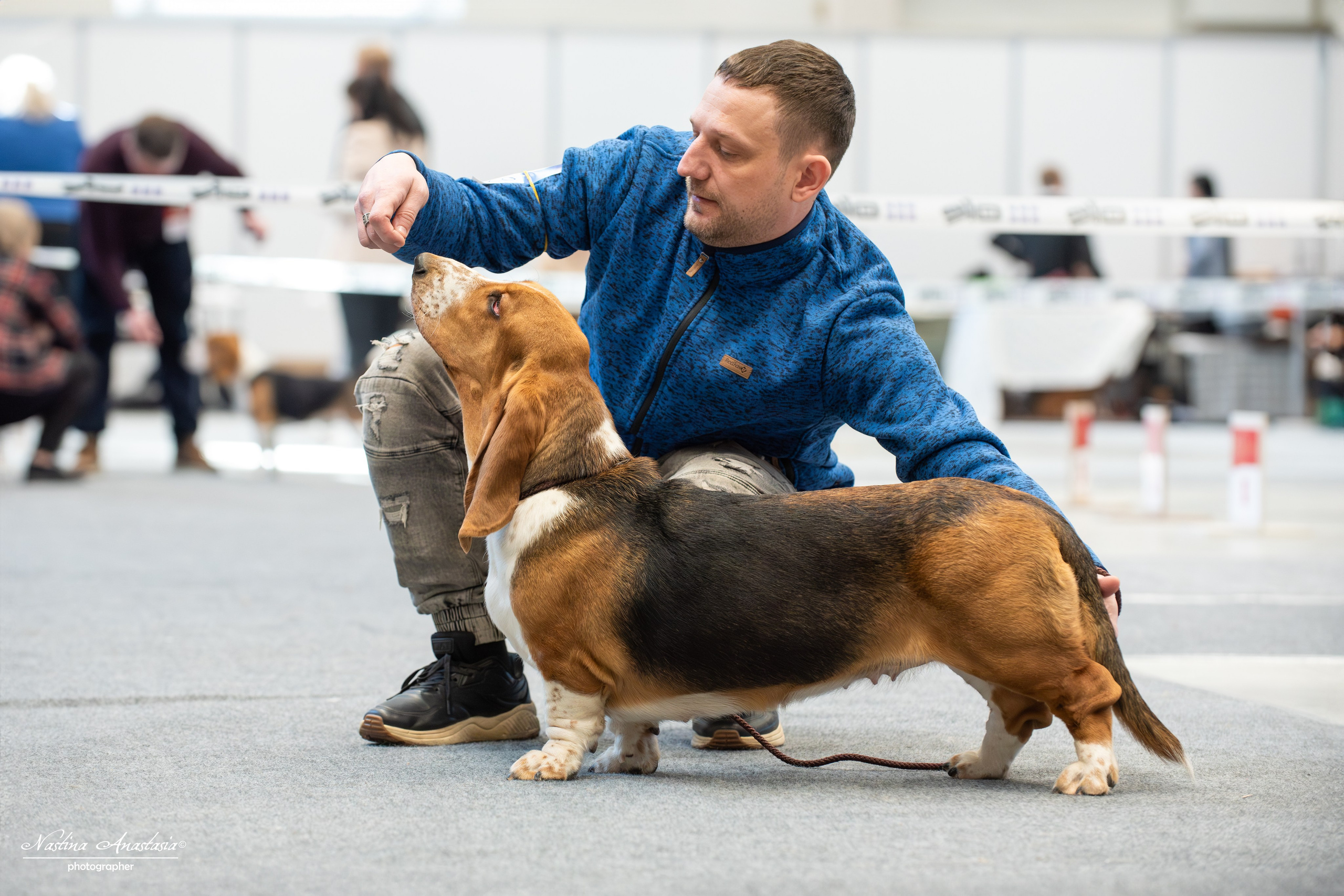 Выставки. Фотограф — Анималист
