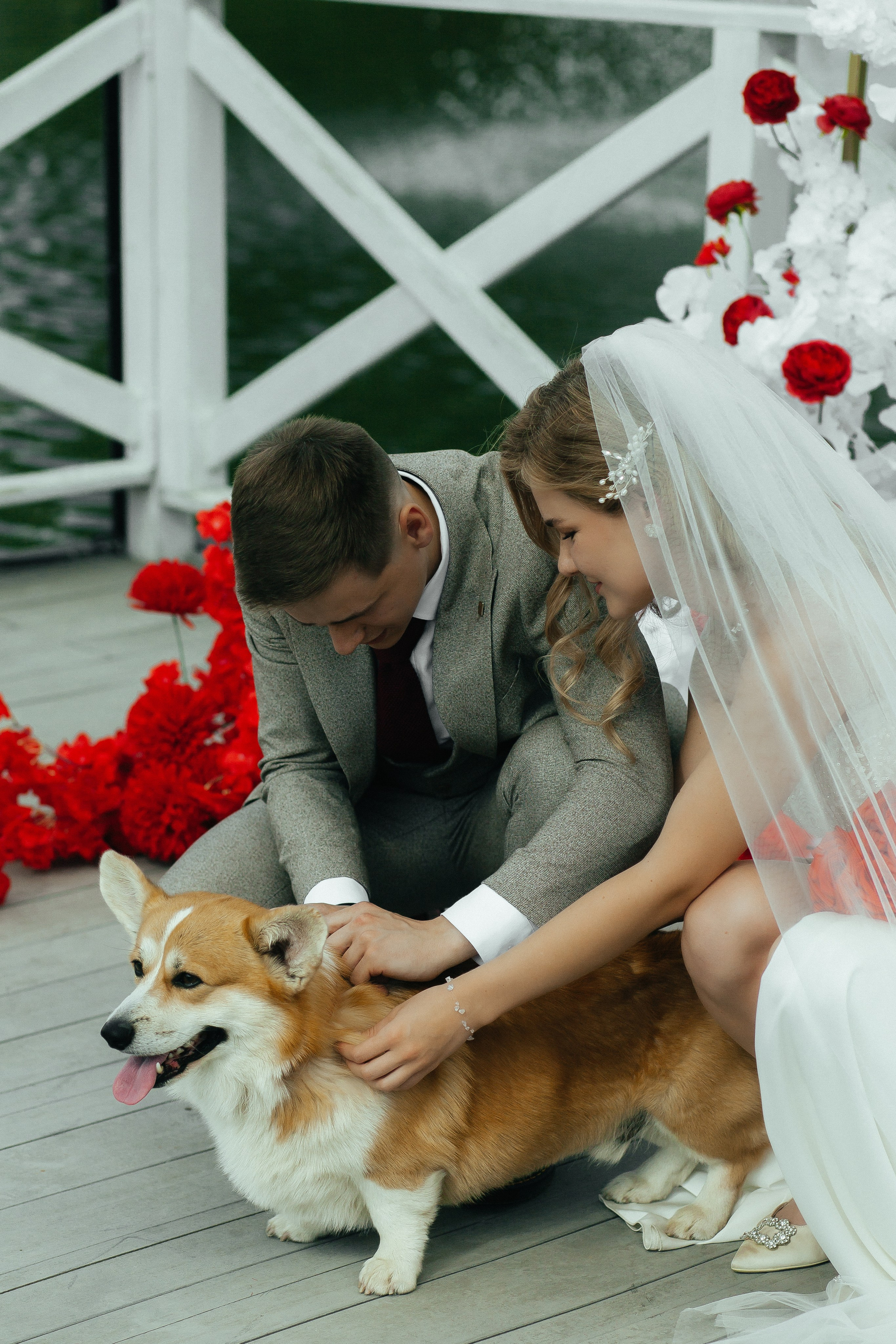 D & D. Фотограф Ольга Сапронова. Свадебный фотограф Ольга Сапронова