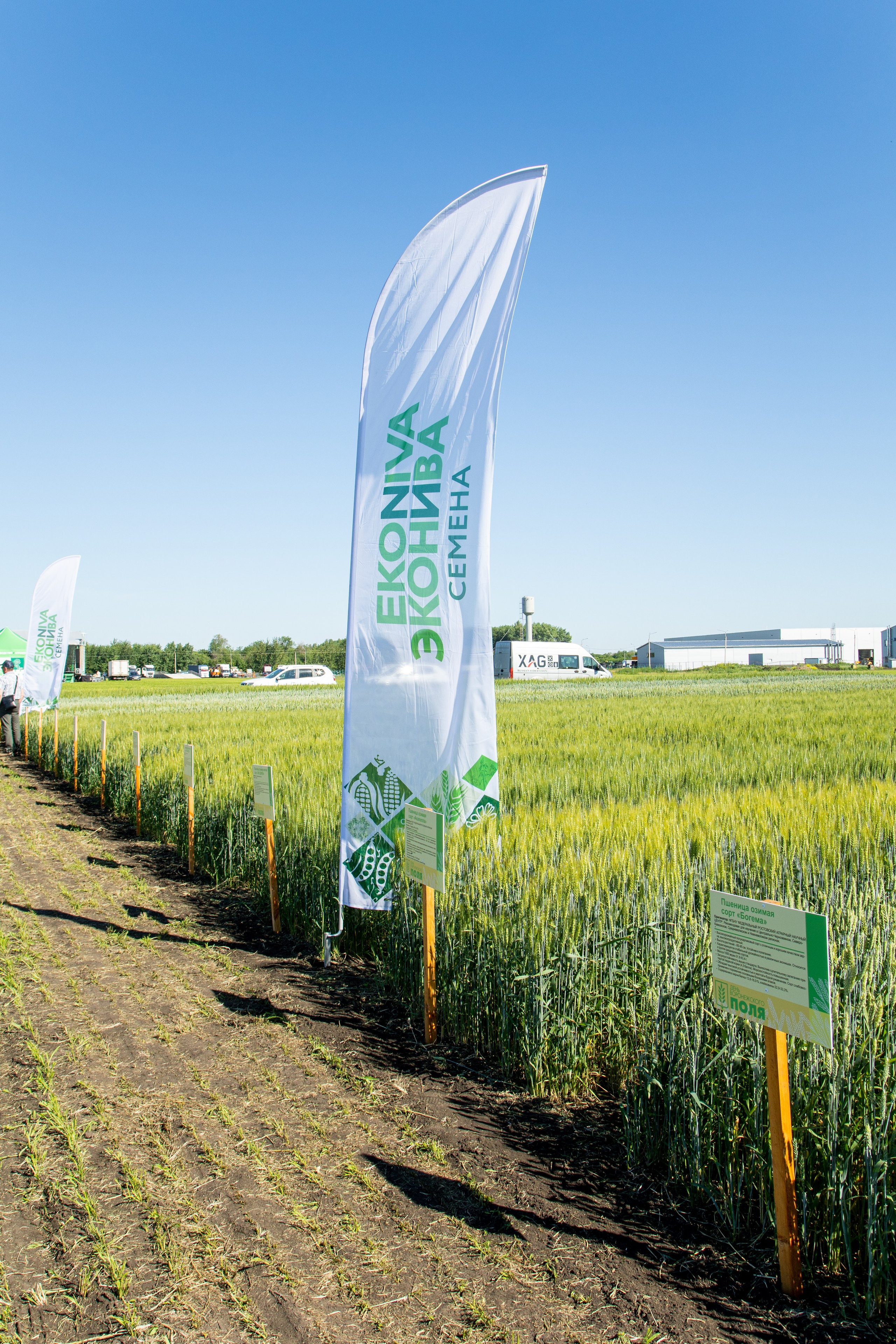 День Поля 2022. Владислав Волков | Фотография и видеосъемка в Воронеже