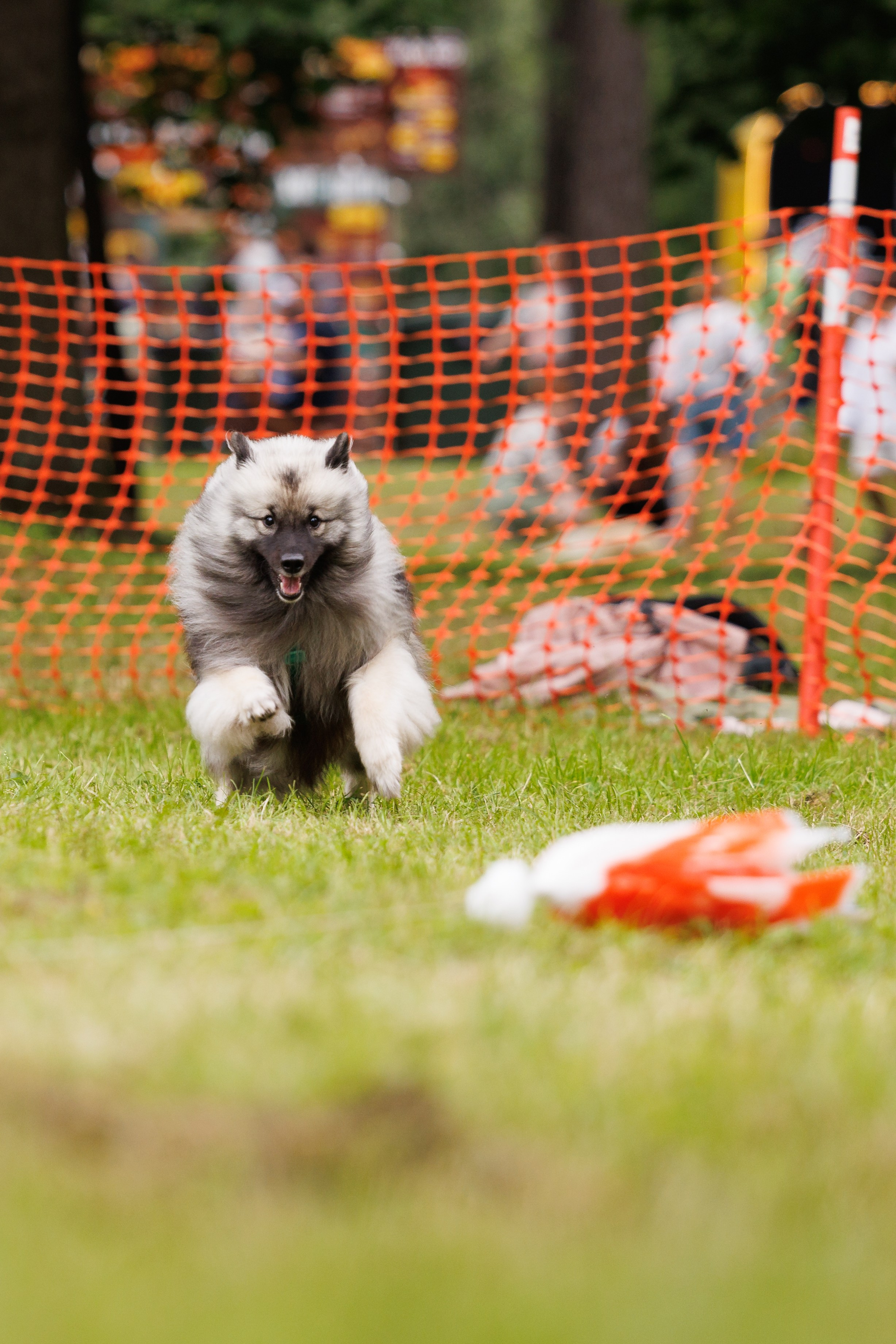 PetShopDays2026. Фотограф Александр Заломаев