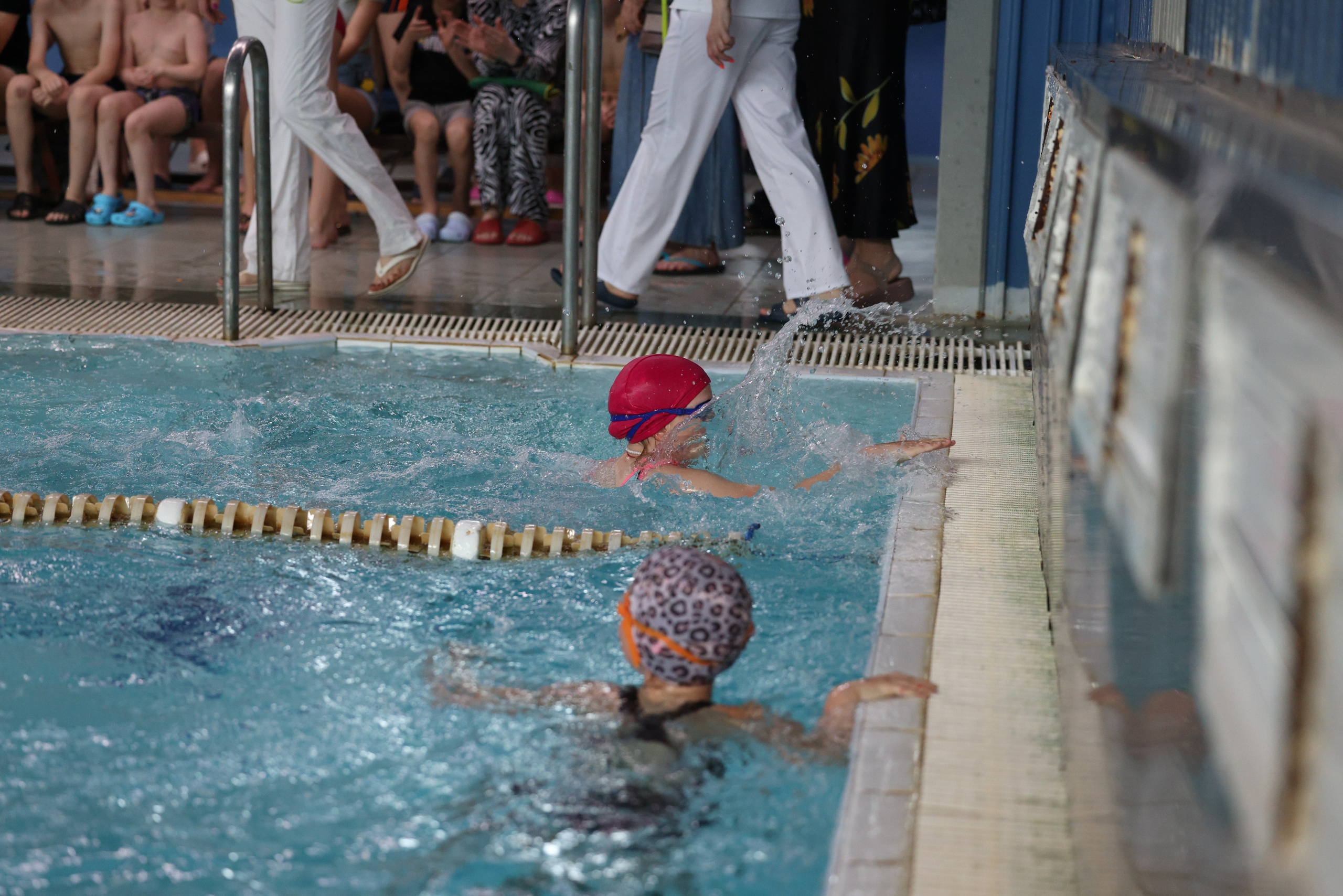 Веселый дельфин. Плавание. Дети 8-9 лет. Фотограф Александр Заломаев