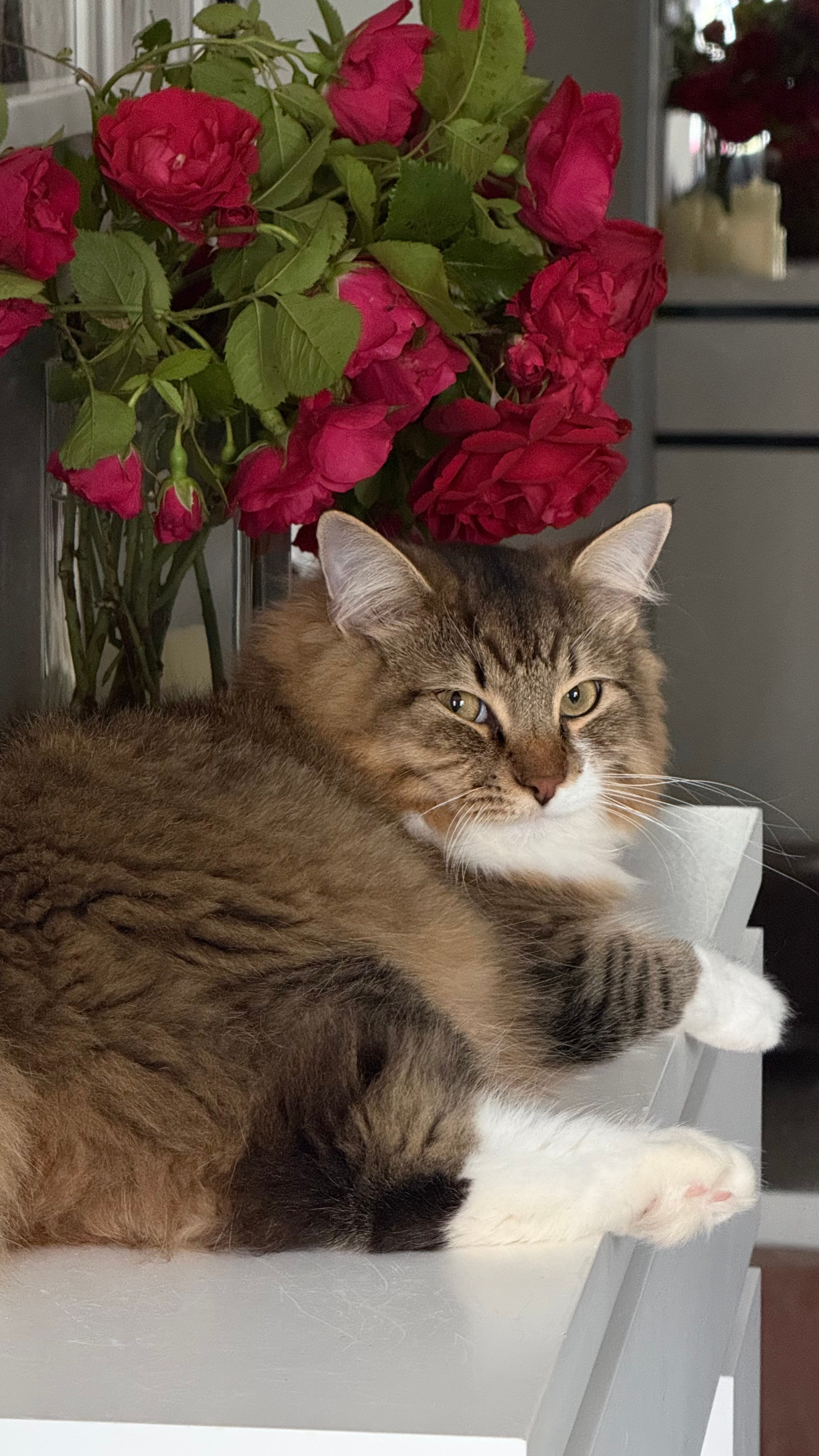 СЕЛФИ. Фотограф Санкт-Петербург