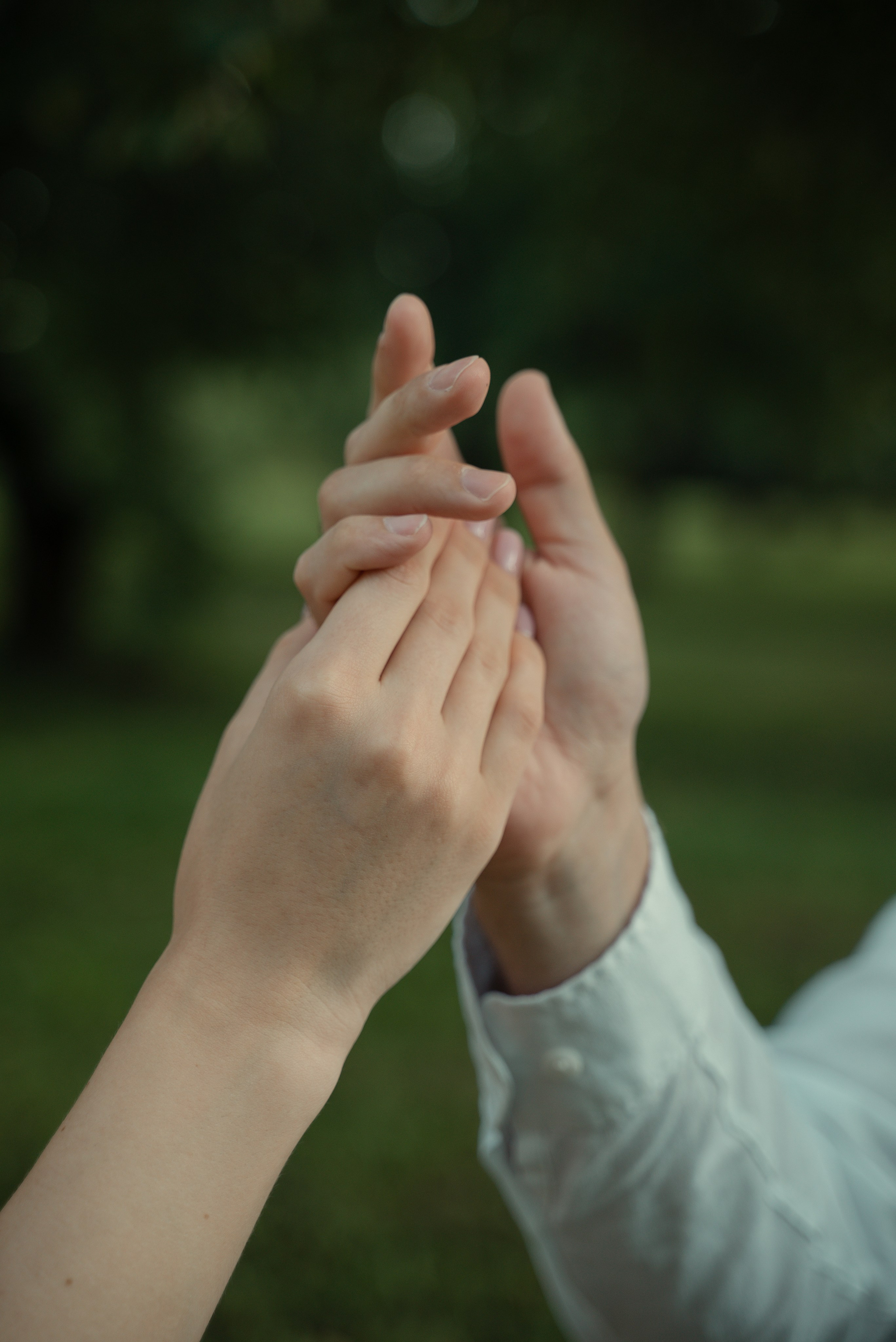 Романтический пикник