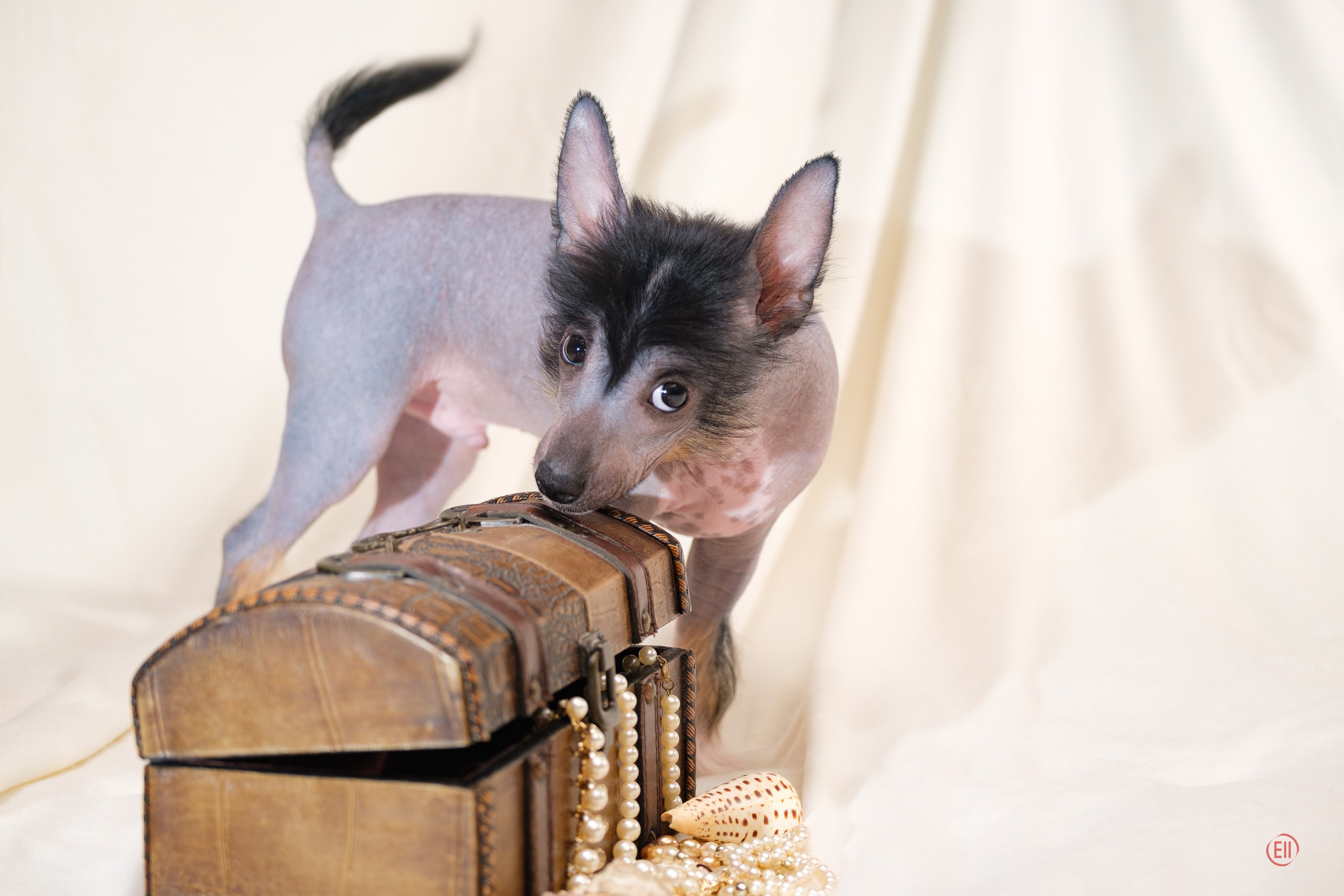 Помёт V. Фотосессия 2. 28.04.2024. Фотограф в Москве