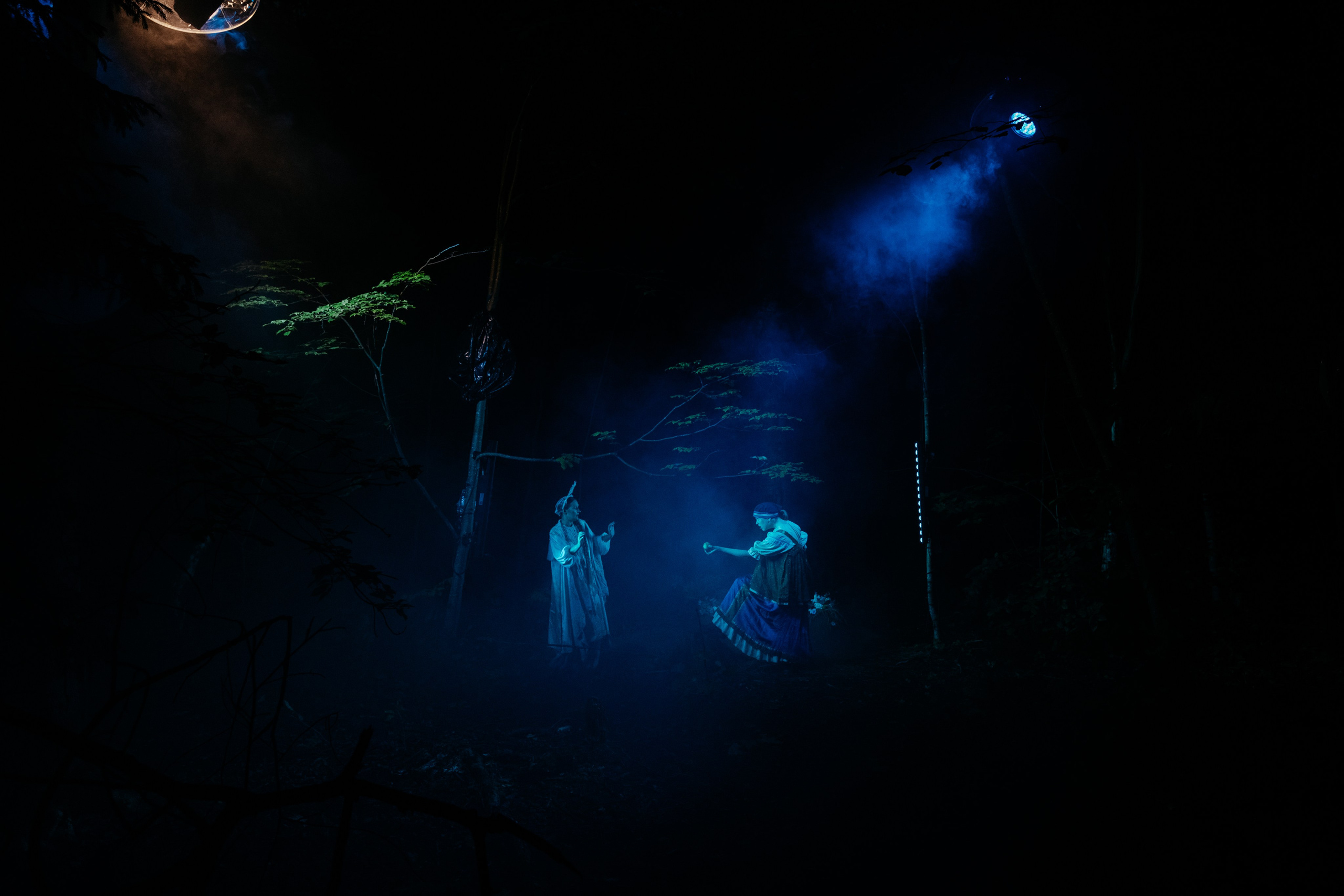 Иммерсивное шоу «Пушкин.Суйда» 2024. Свадебный и репортажный фотограф в Санкт-Петербурге