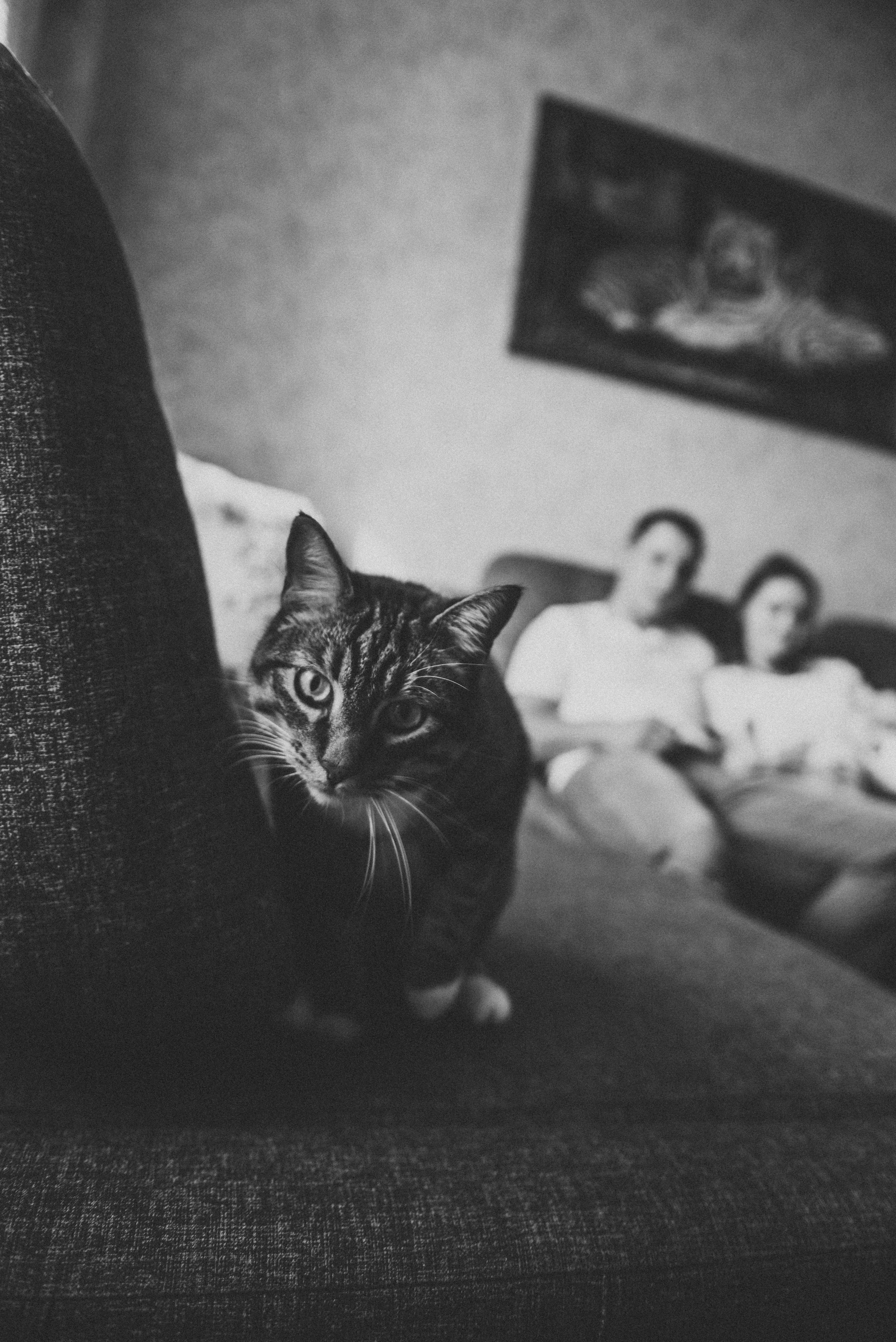 Домашняя фотосессия. Семейный домашний фотограф Юлия Власова, город Архангельск