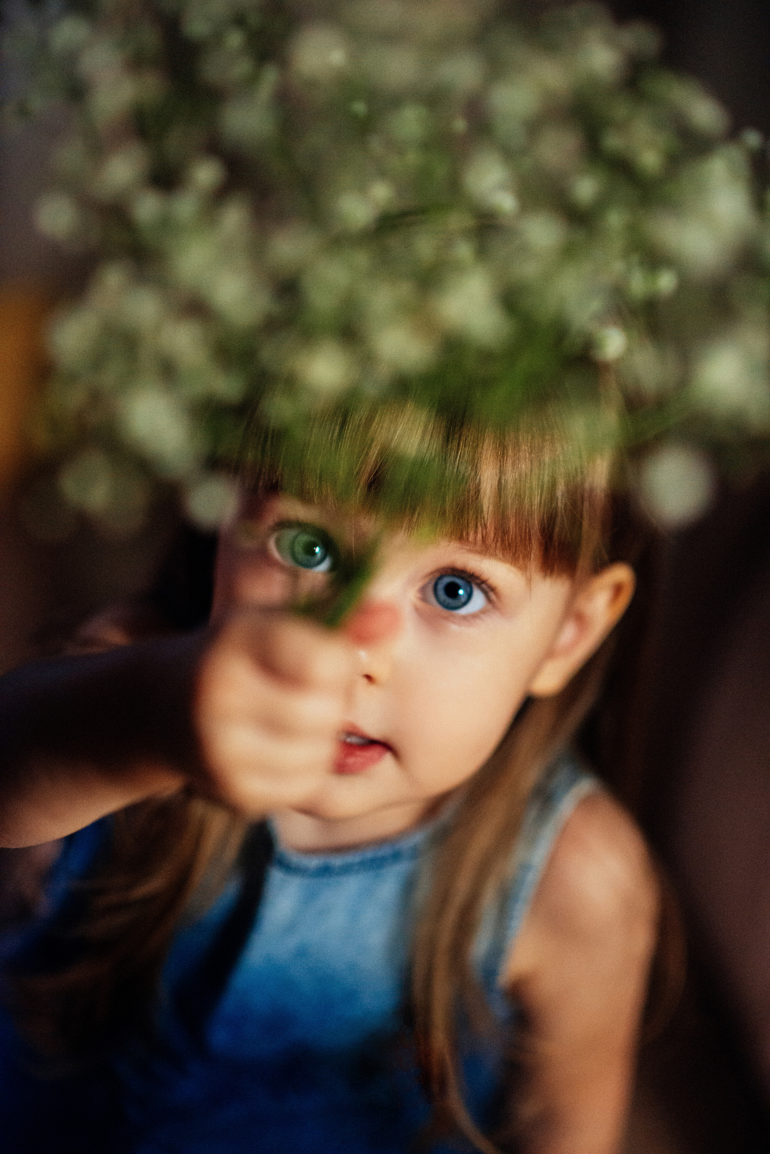 Портреты. Семейный домашний фотограф Юлия Власова, город Архангельск