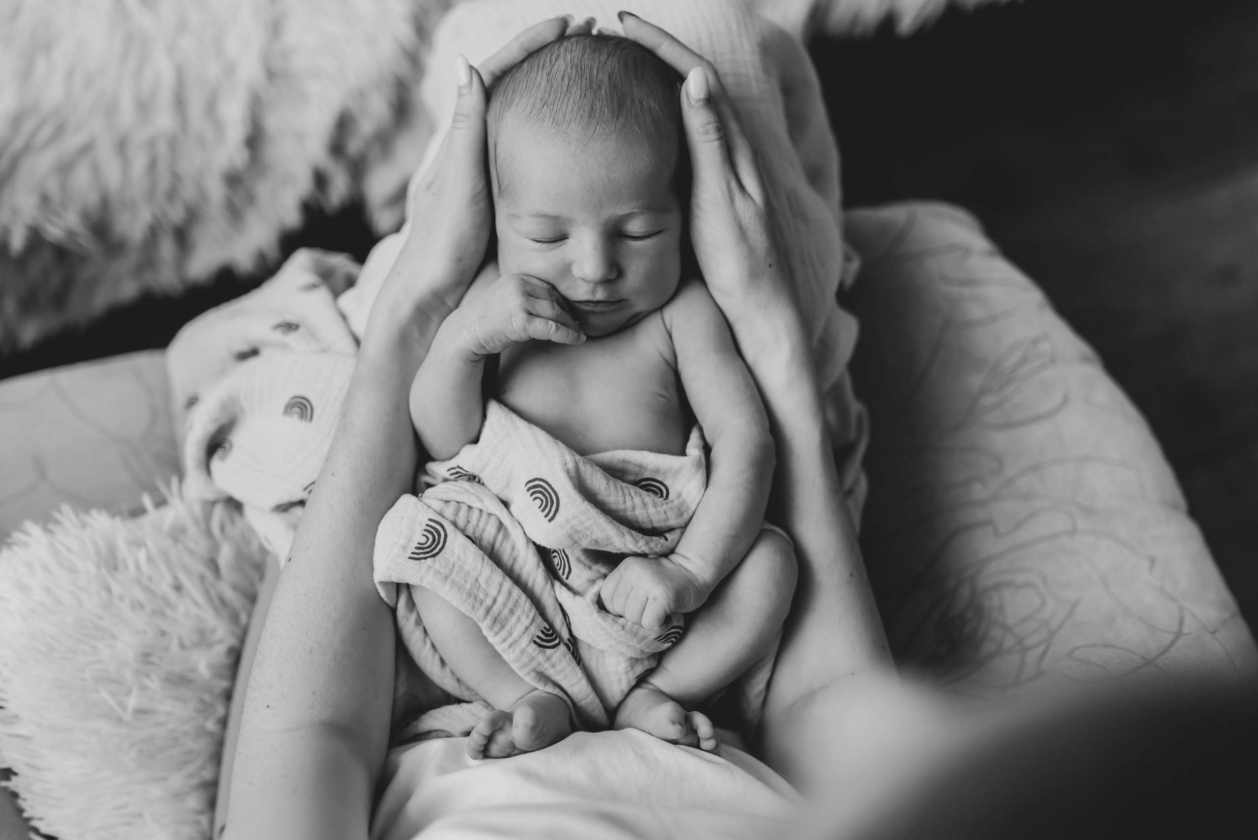 Alex. Natalia Finch Photography — Family, Kids & Pet Photographer in Chicago, IL