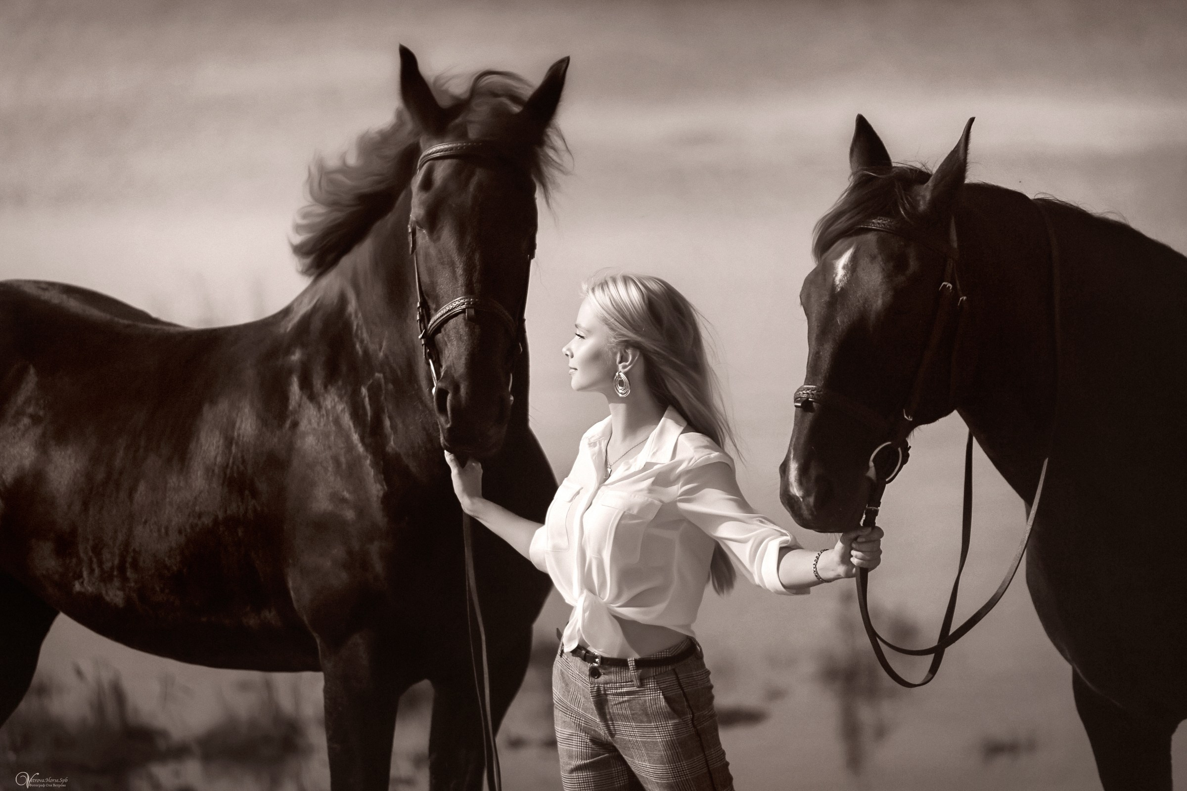 Черно-белая фотография портрет девушки с лошадьми