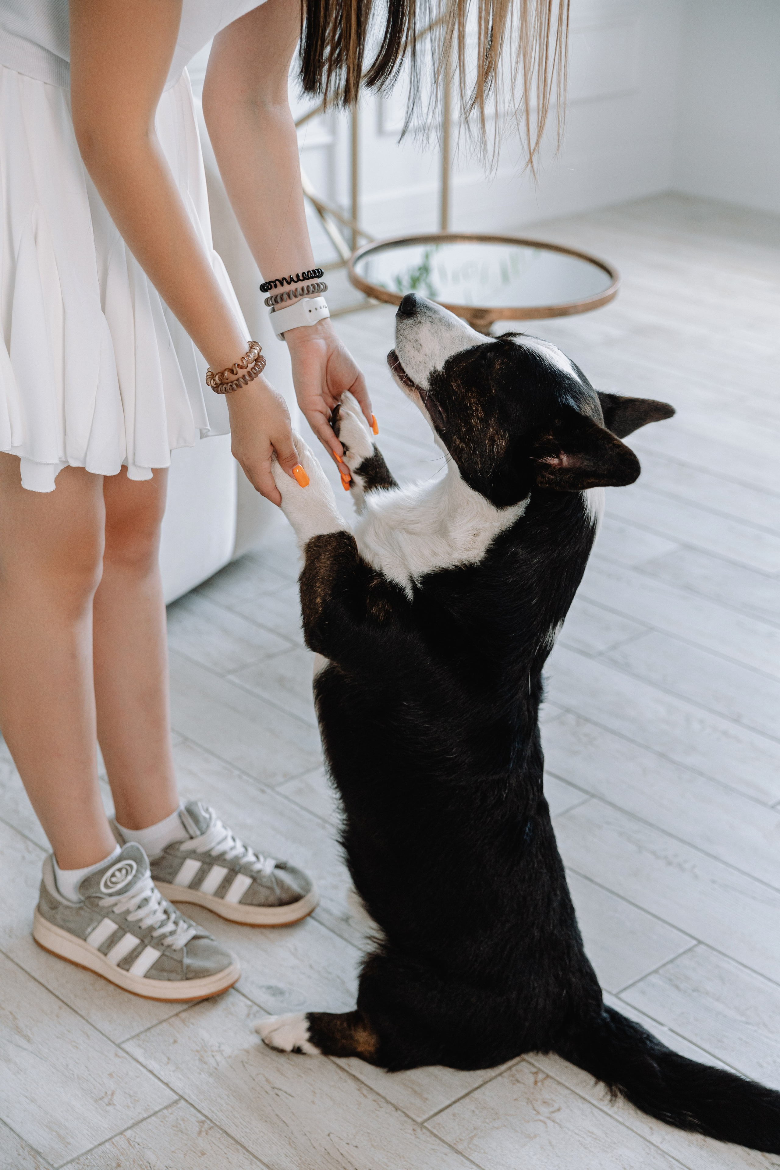 Евгения, Михаил и Дарина и собачка Чарли. Фотограф Воронеж Варвара