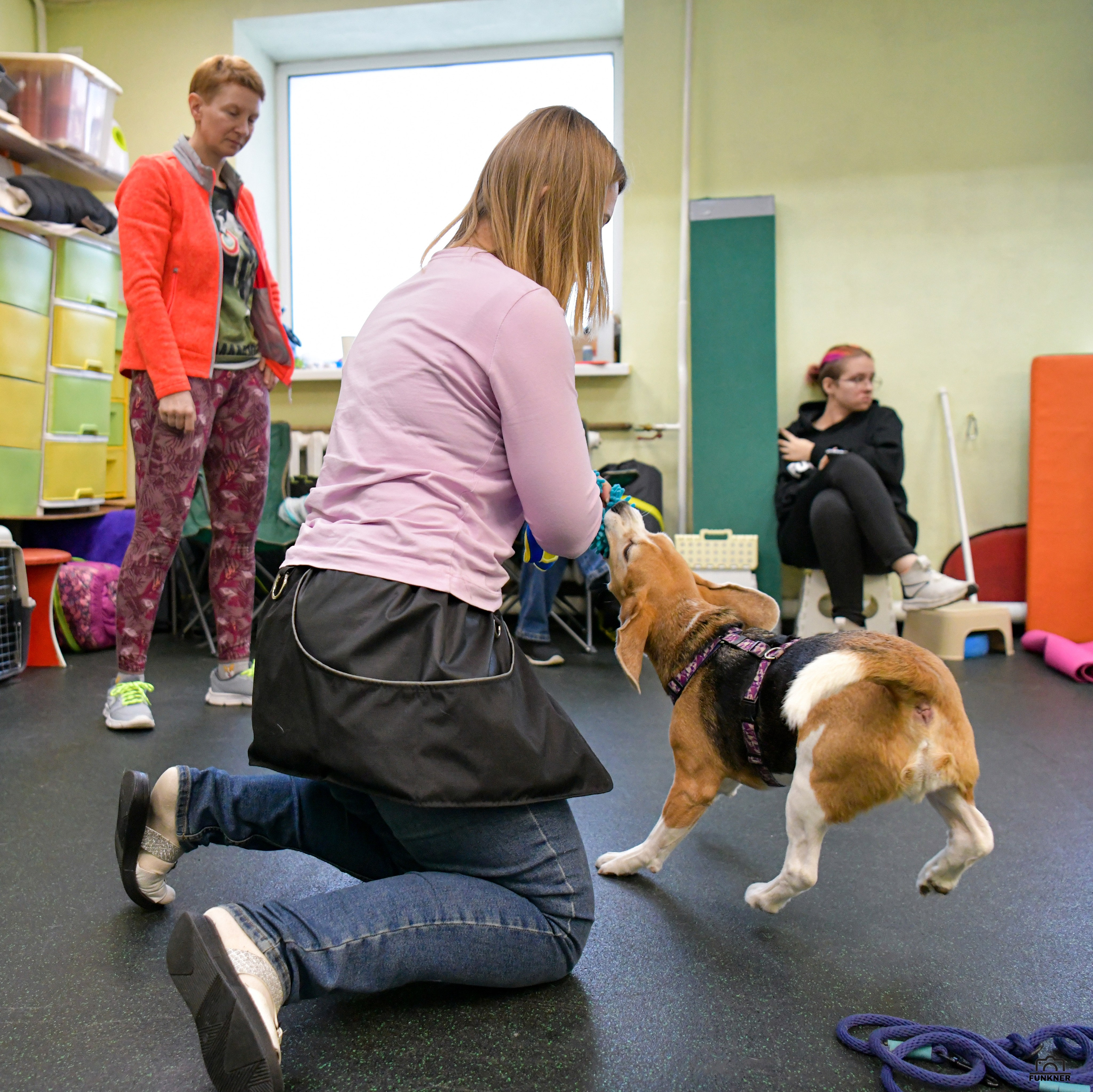 Кинологический клуб «Бодрый хвост». Свой взгляд через объектив