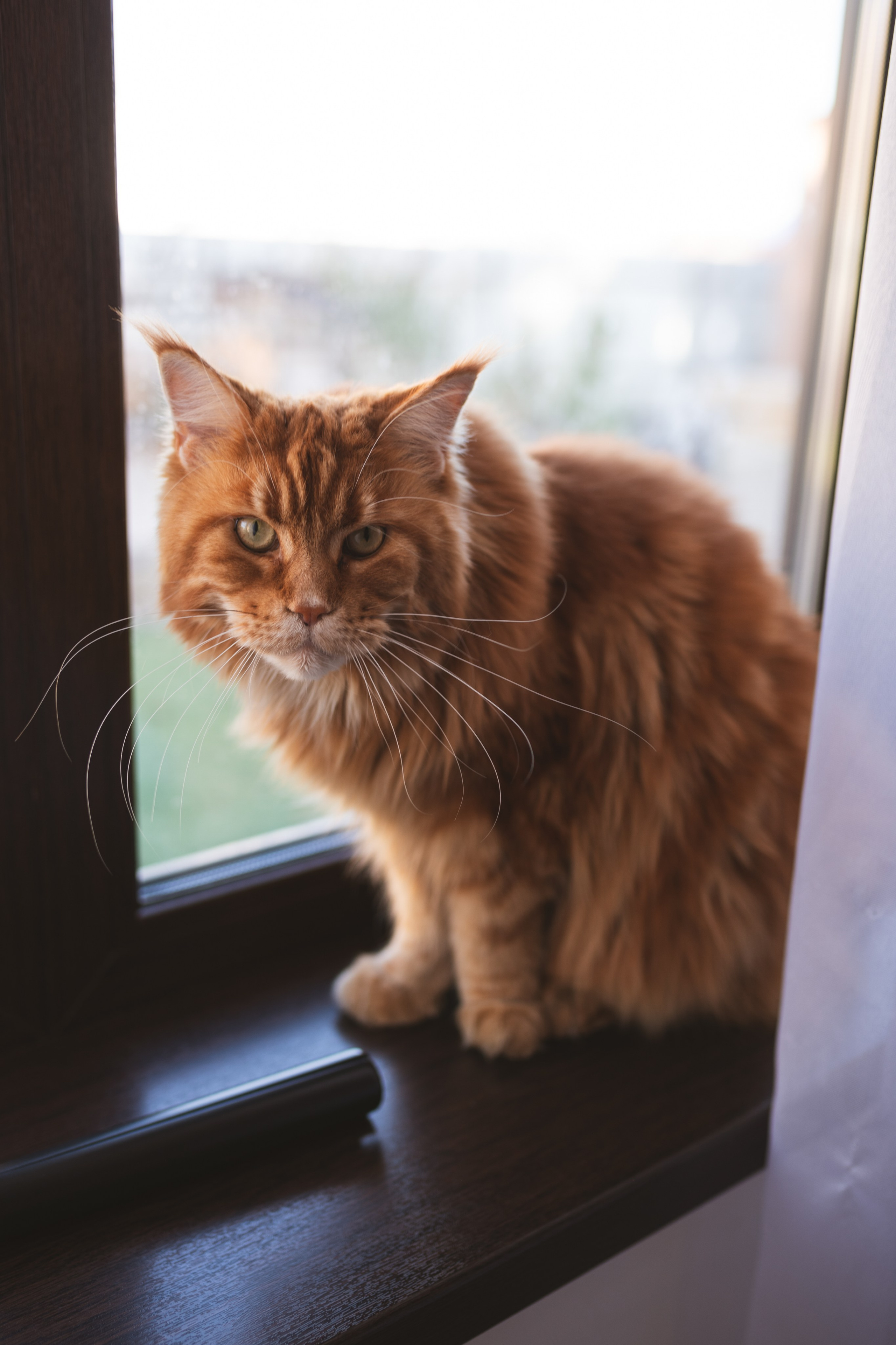 Ярослав 1 годик. Кобякова Мария. Фотограф новорождённых и детей до года город ИРКУТСК