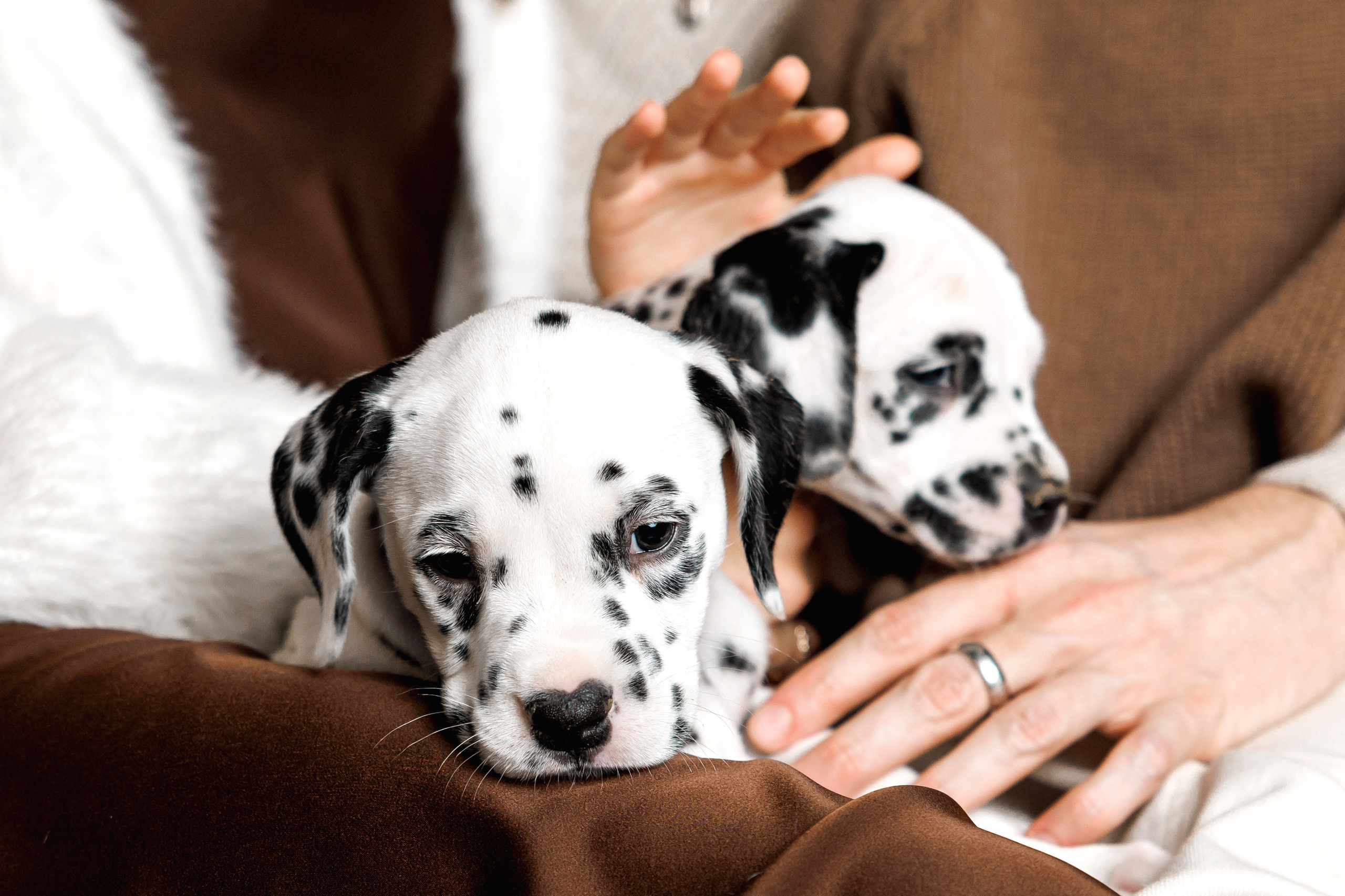 Новогодняя фотосессия с венками. Портретный фотограф Панферова Регина г. Санкт-Петербург, г. Казань