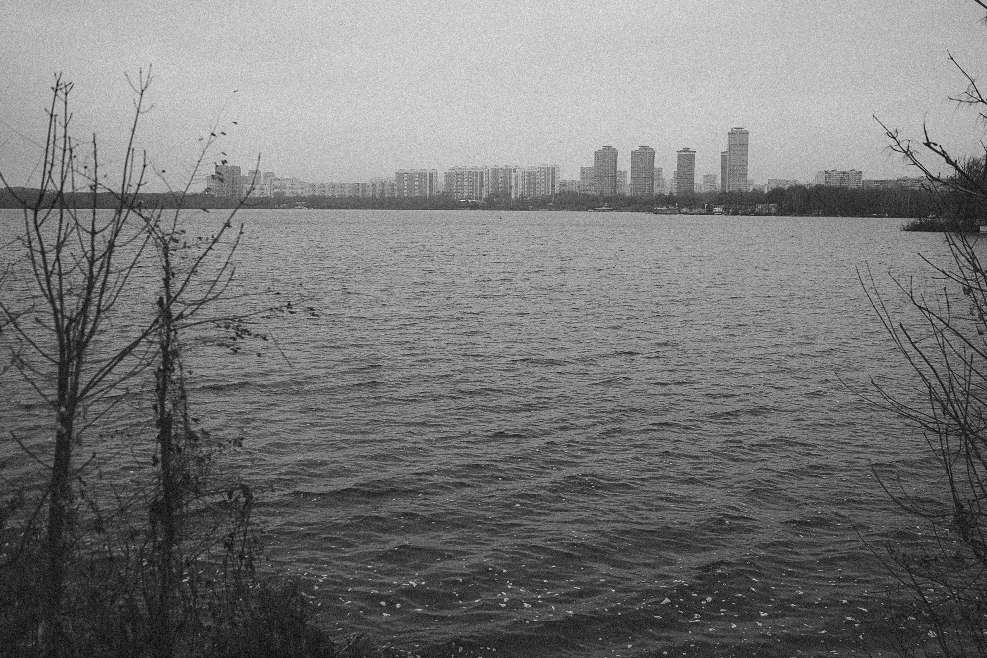 Лиза и Бублик. Фотограф анималист в Москве и Санкт-Петербурге Свиридова Анна