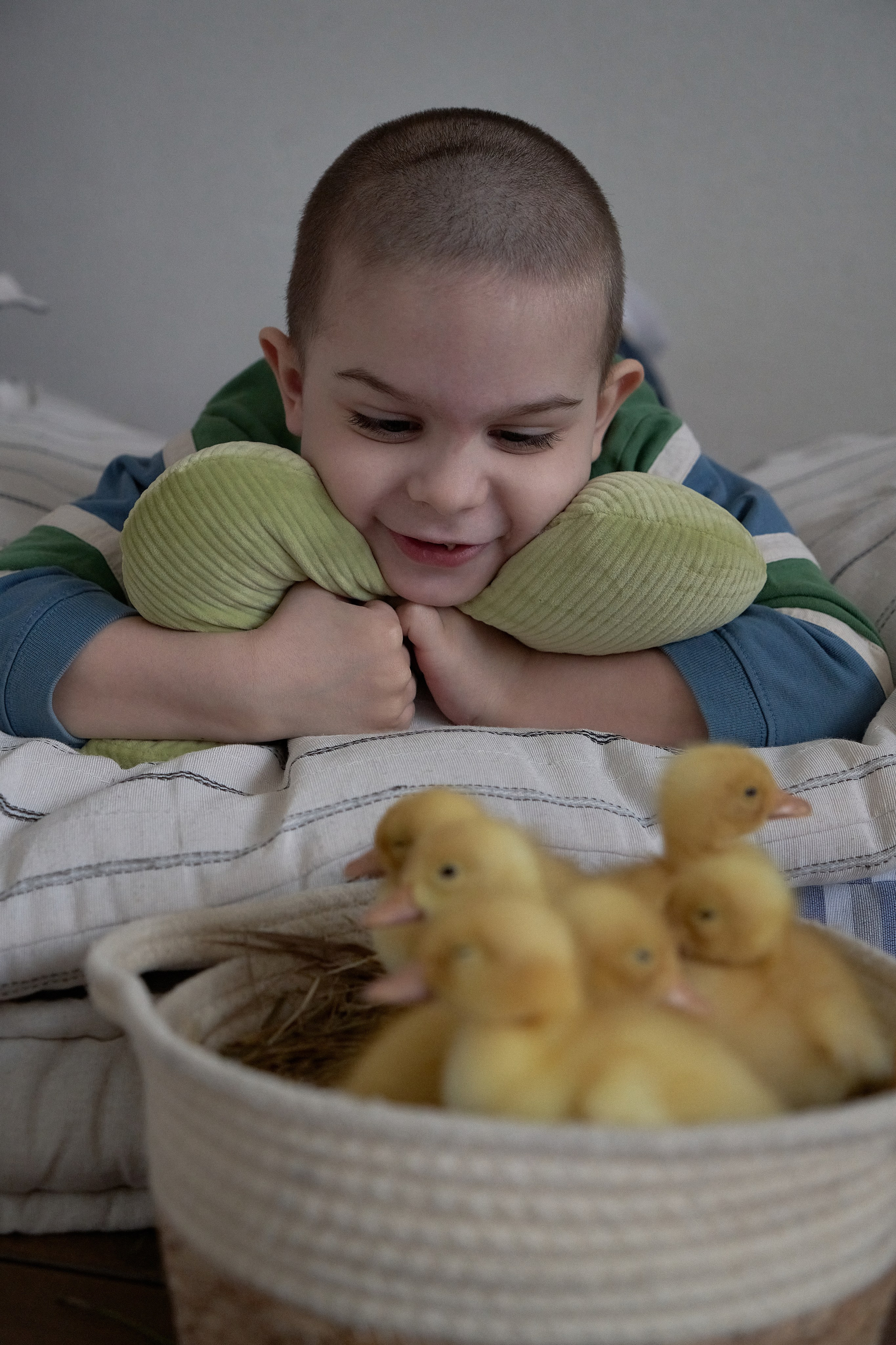 Пасхальная фотосессия с животными в Краснодаре